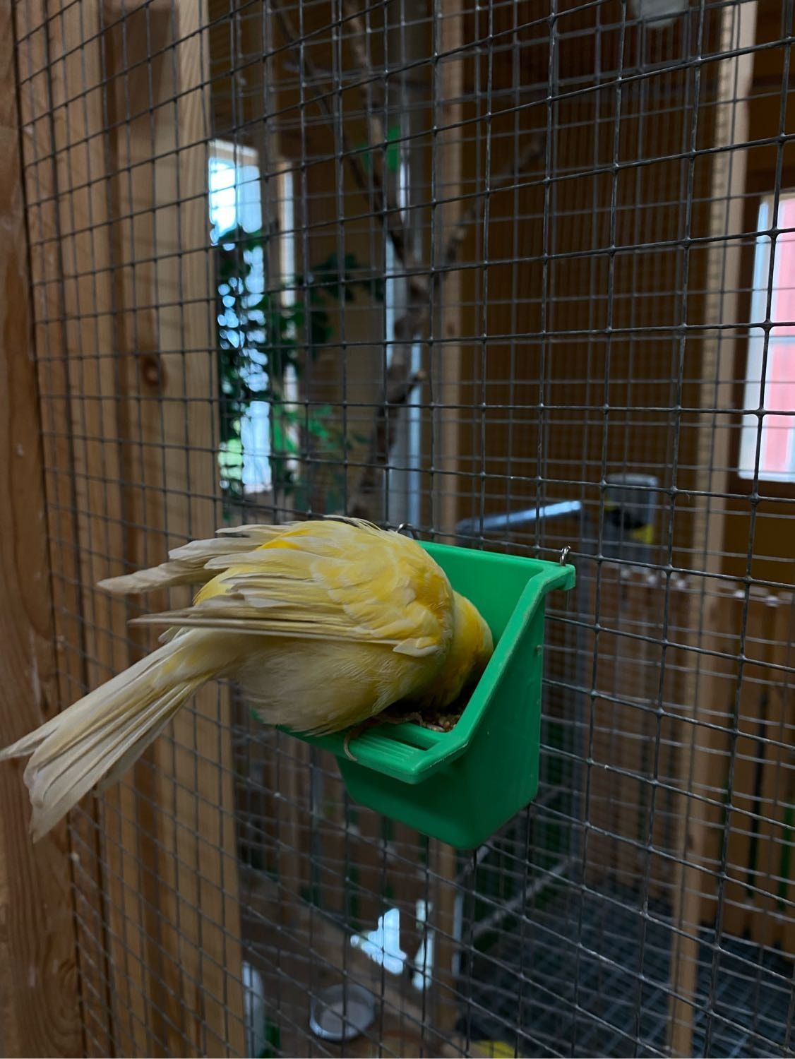 image-4