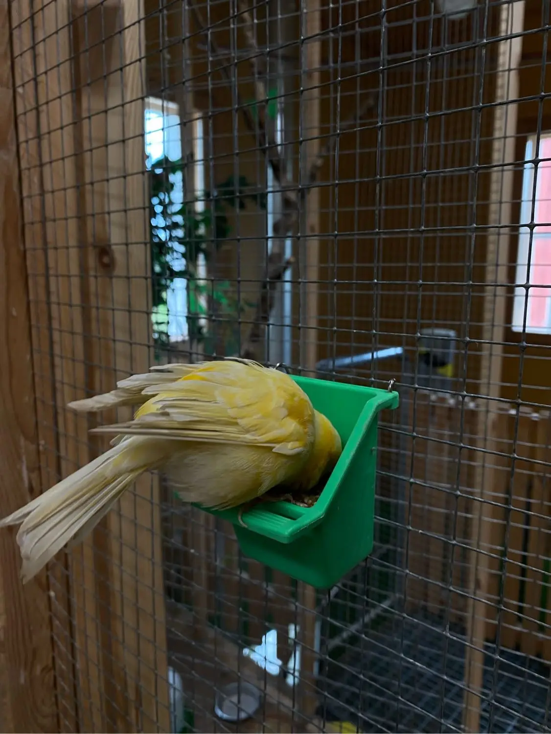 image-4