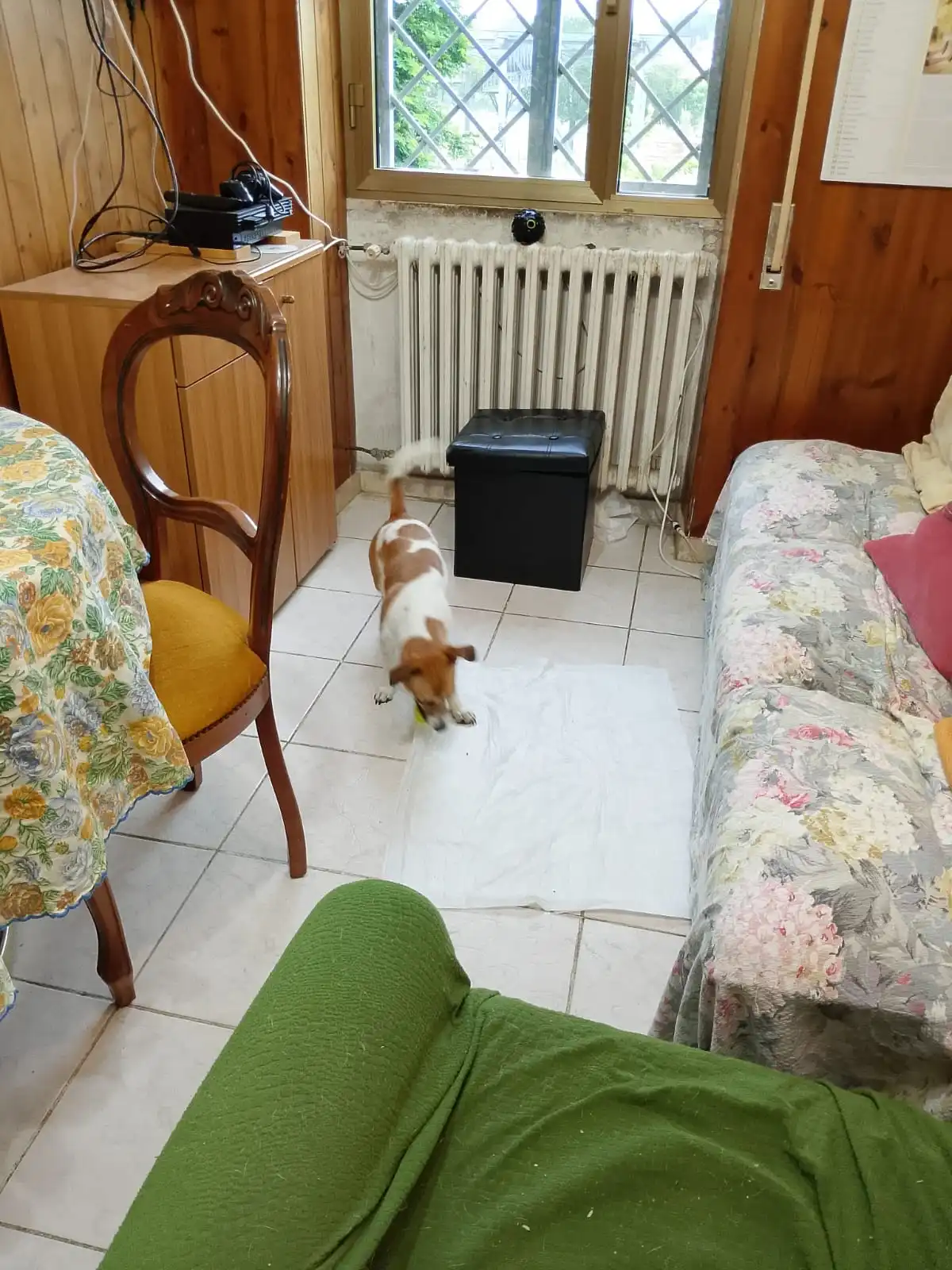 image-10