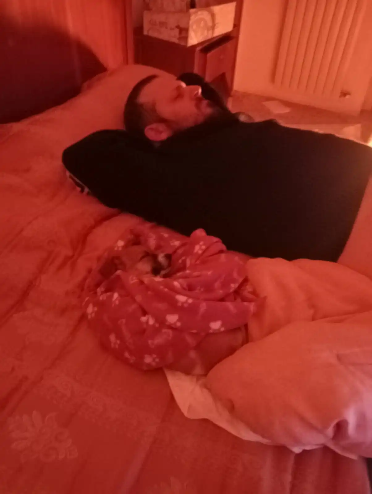 image-7