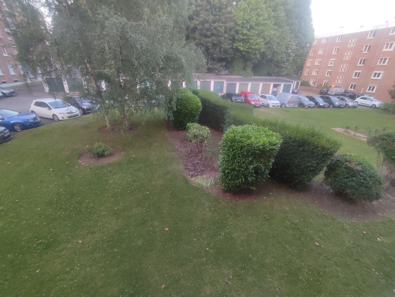 image-17