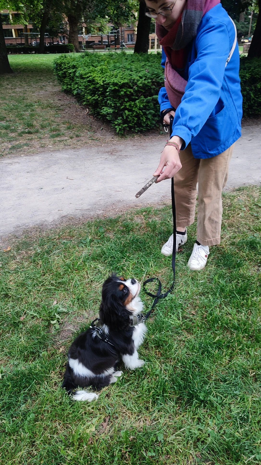 image-14