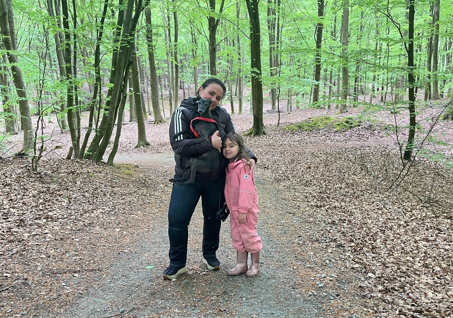 image-11