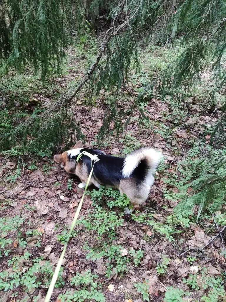 image-11