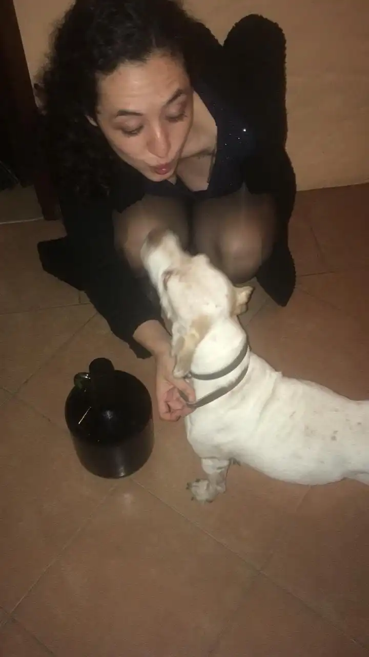 image-6