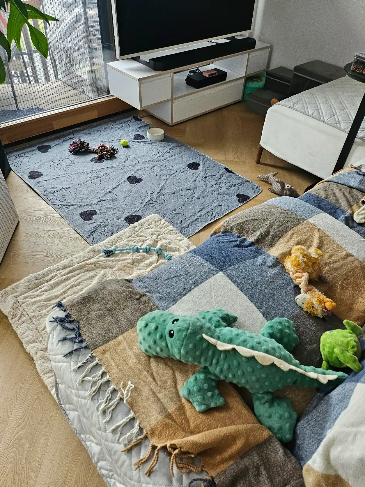 image-15
