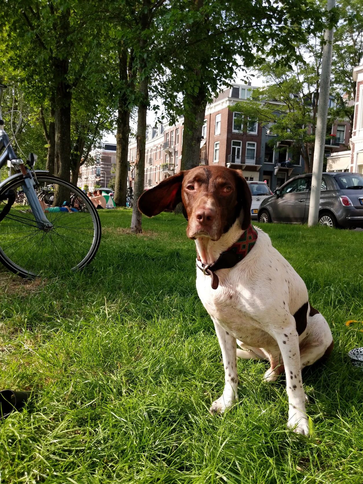image-13