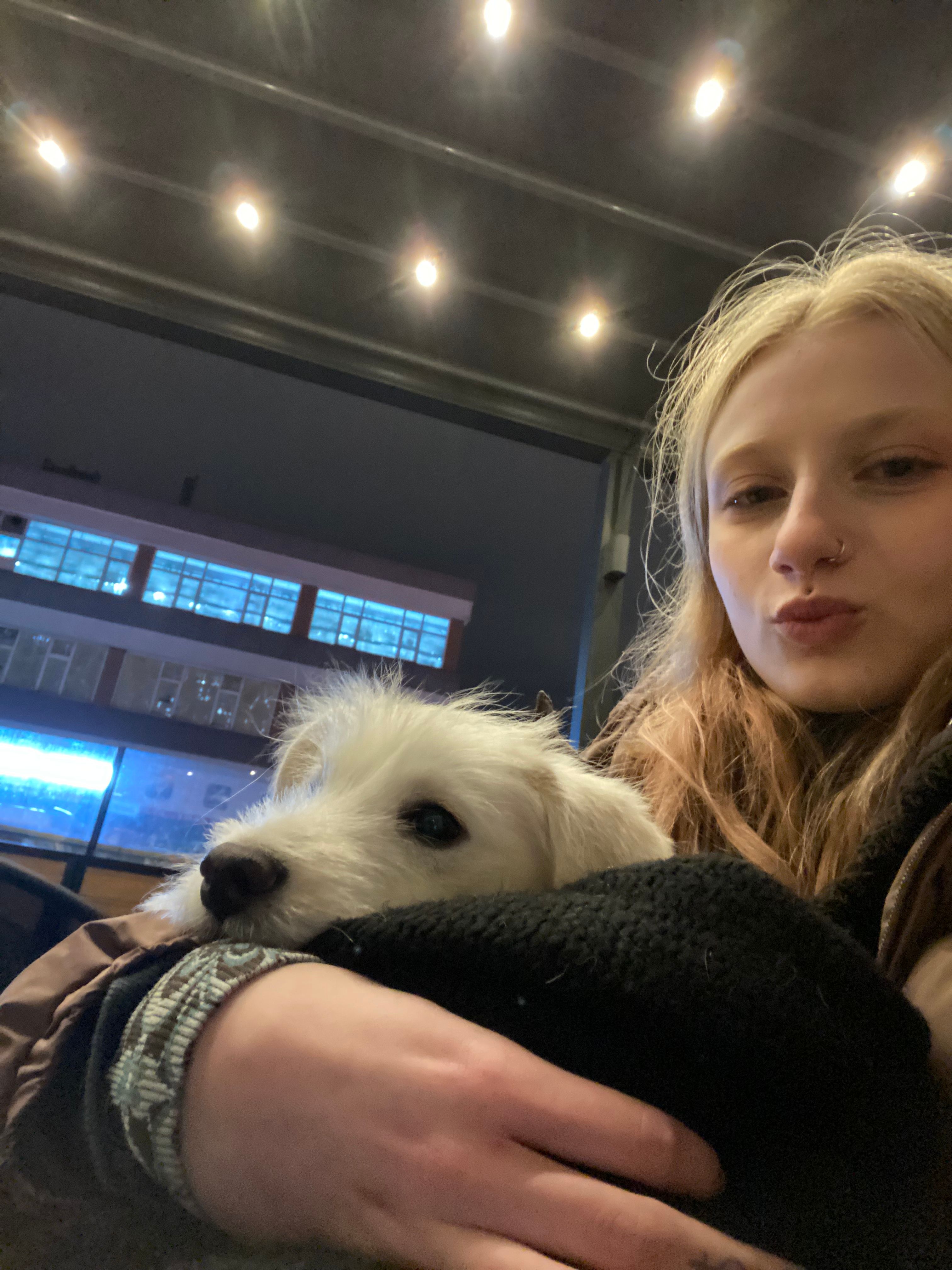 image-8