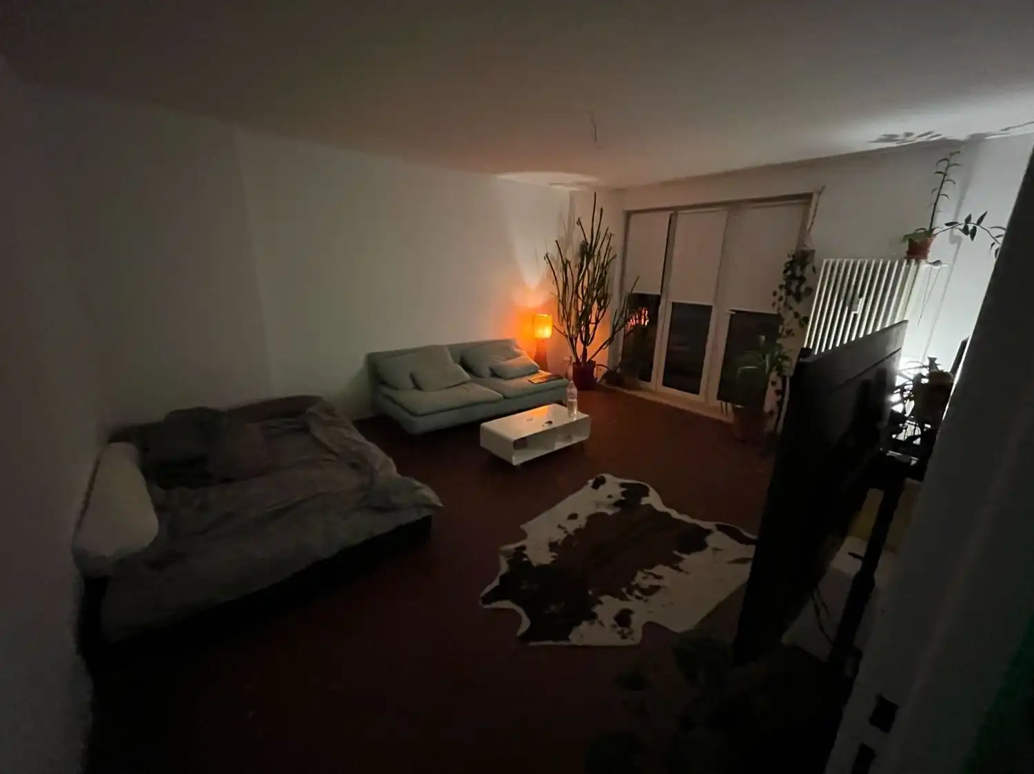 image-5
