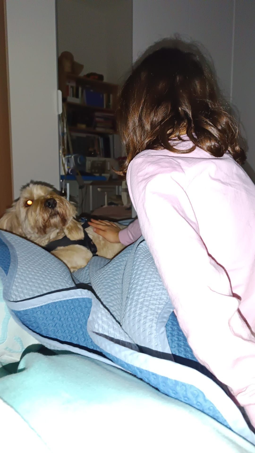 image-6