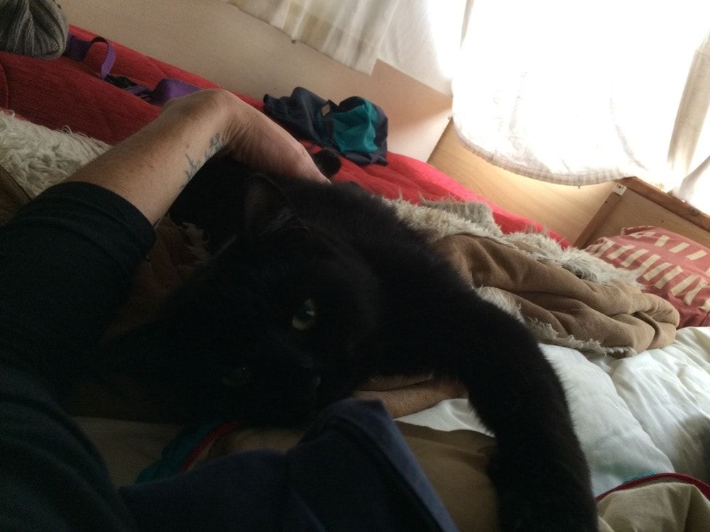image-4