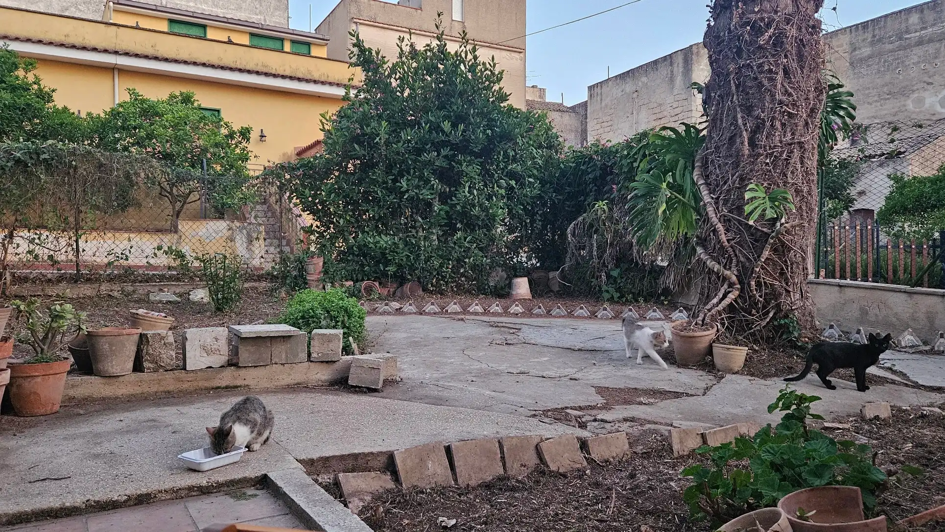image-5