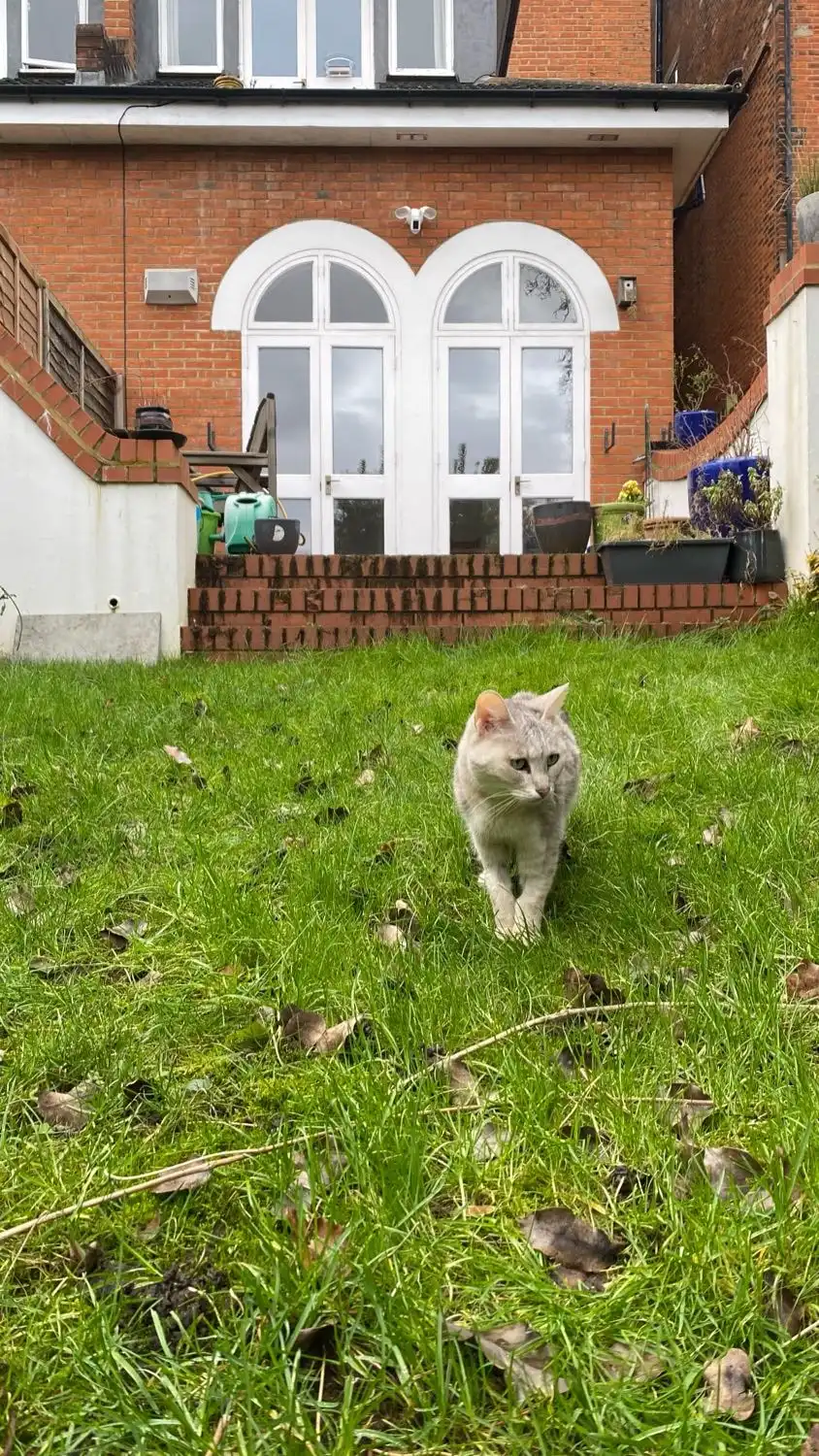 image-9