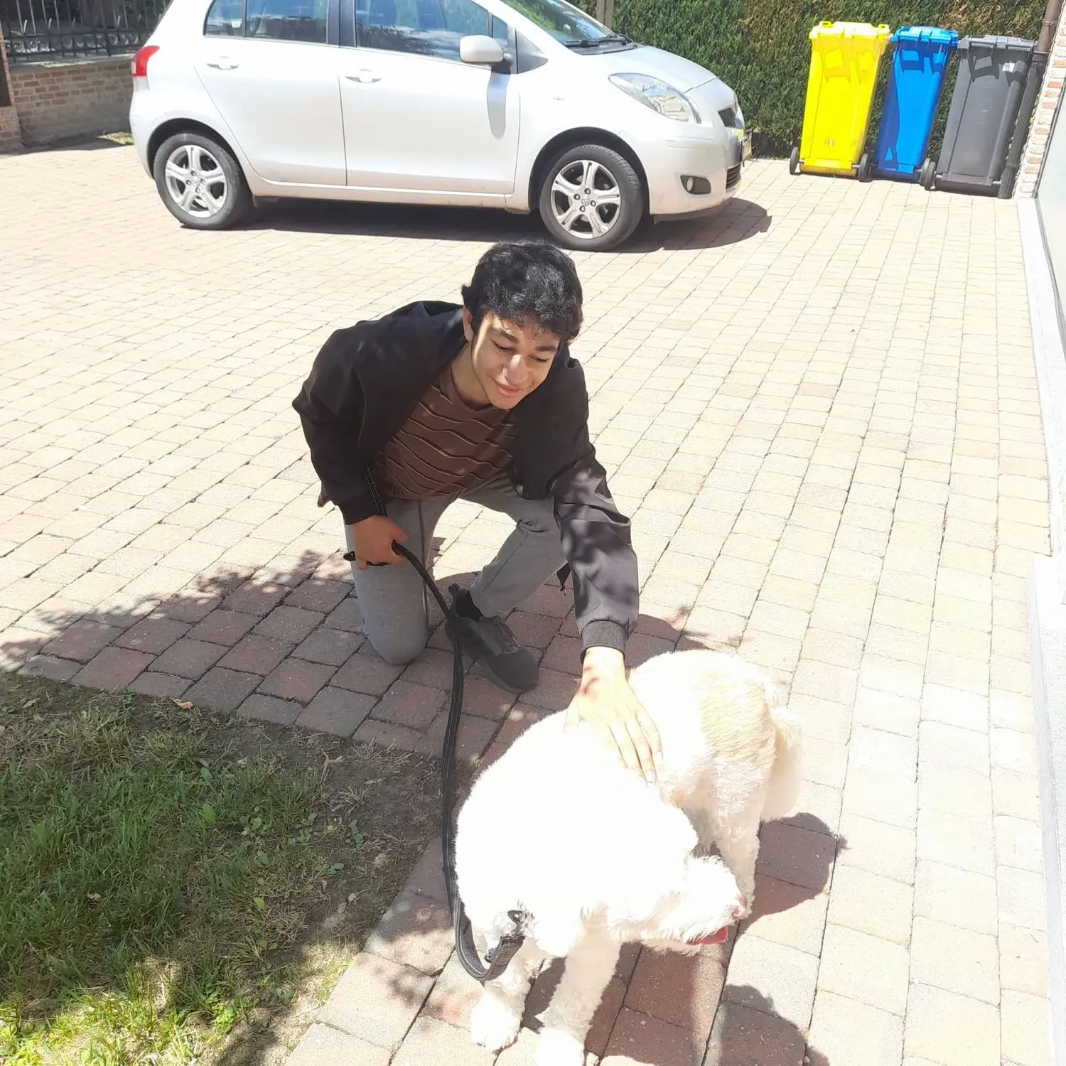image-2