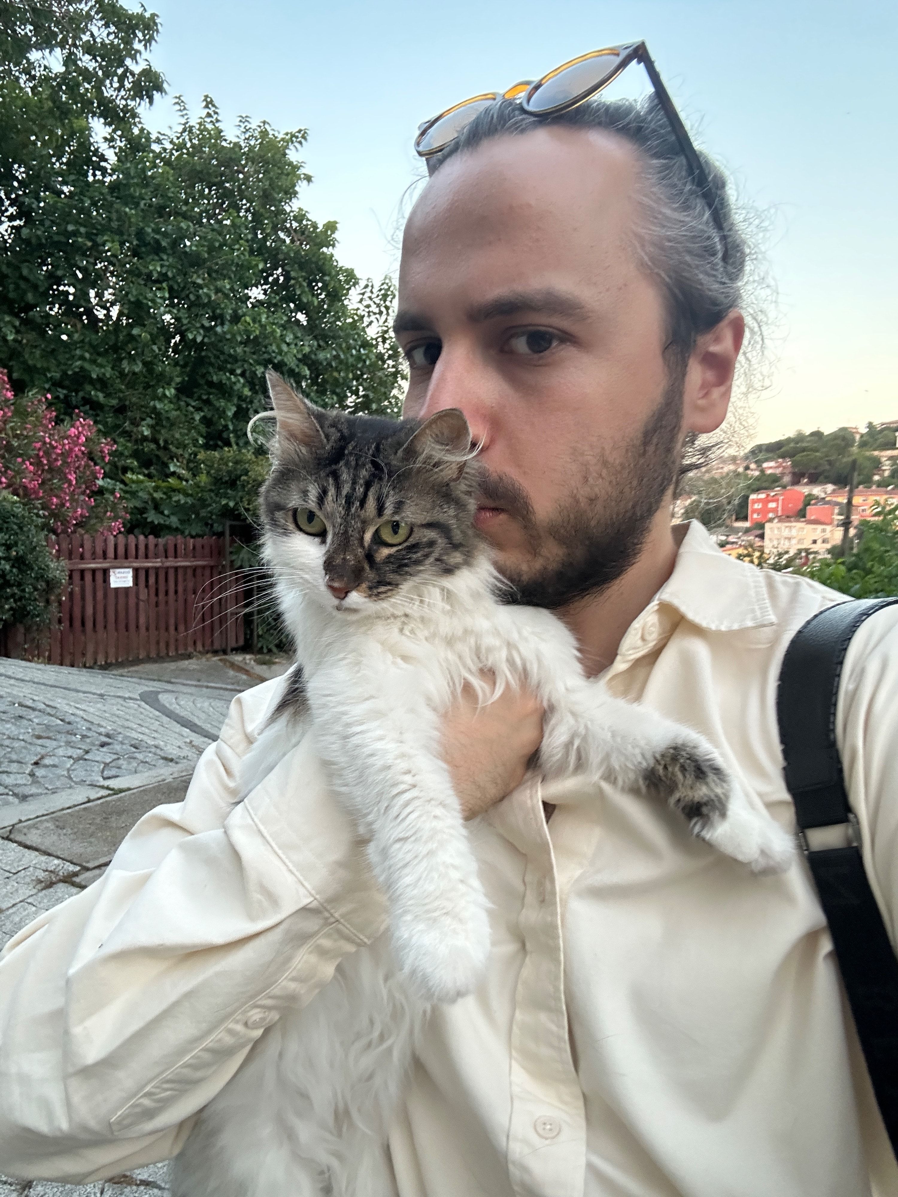image-7