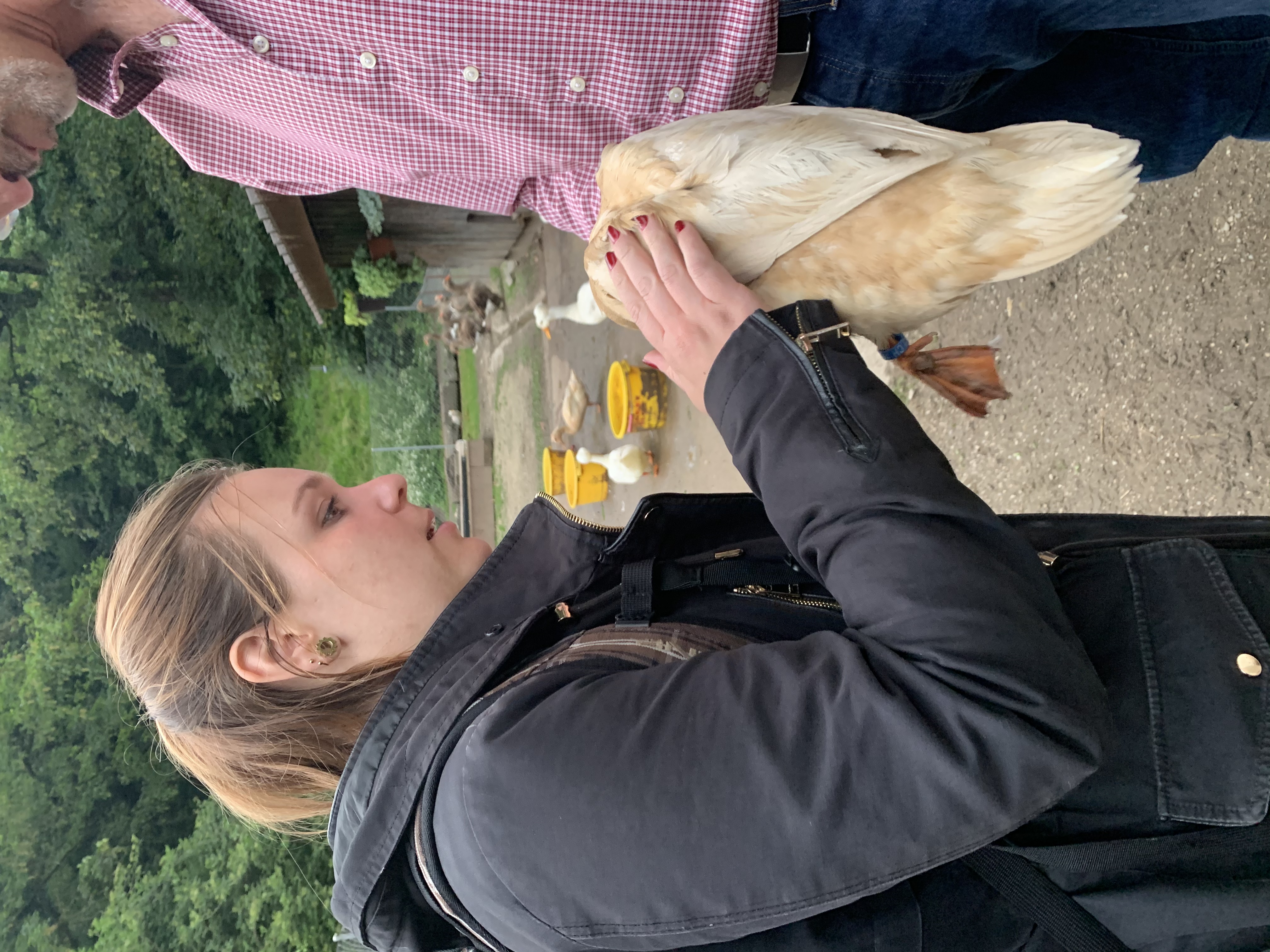 image-6