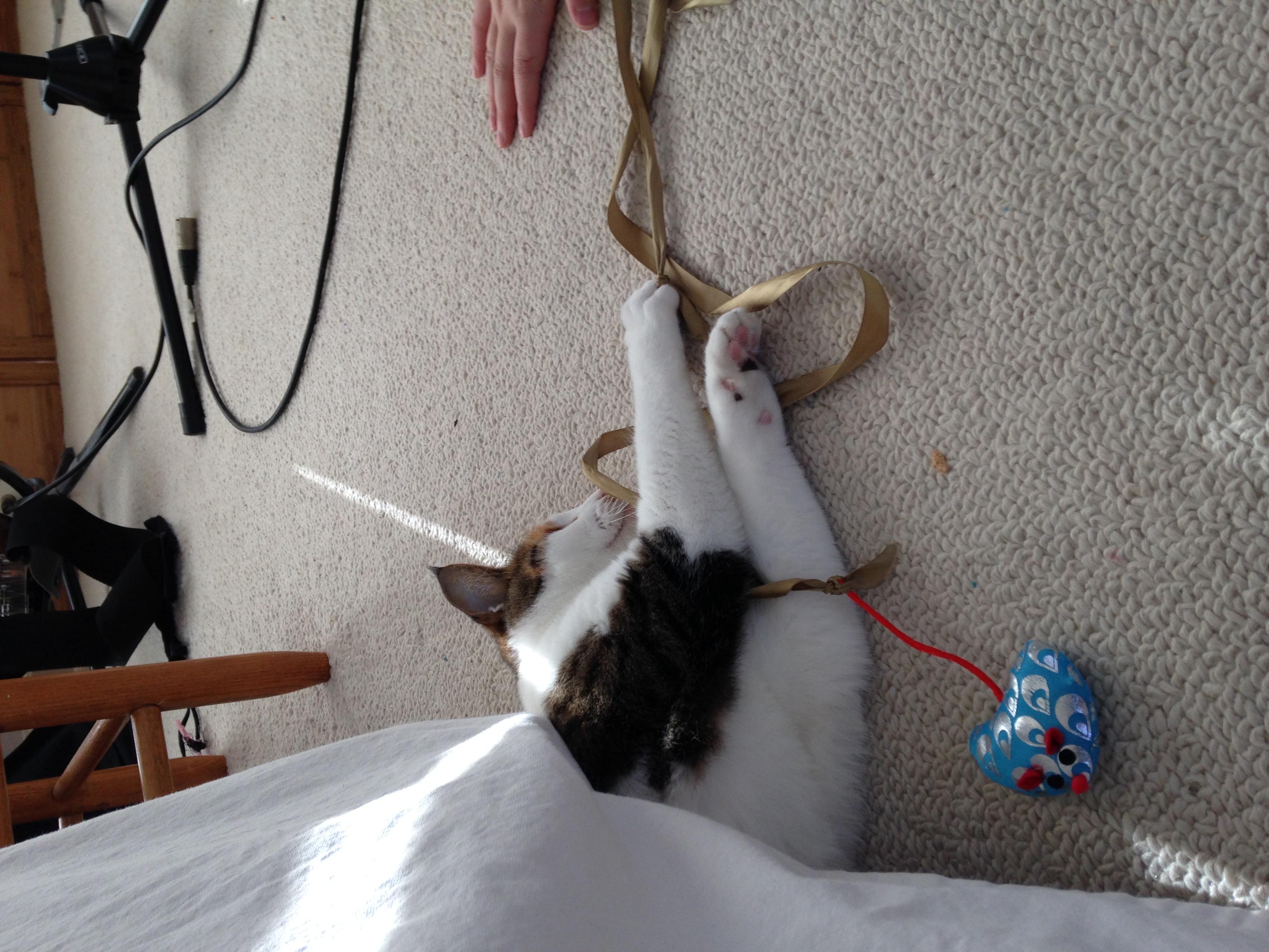 image-5
