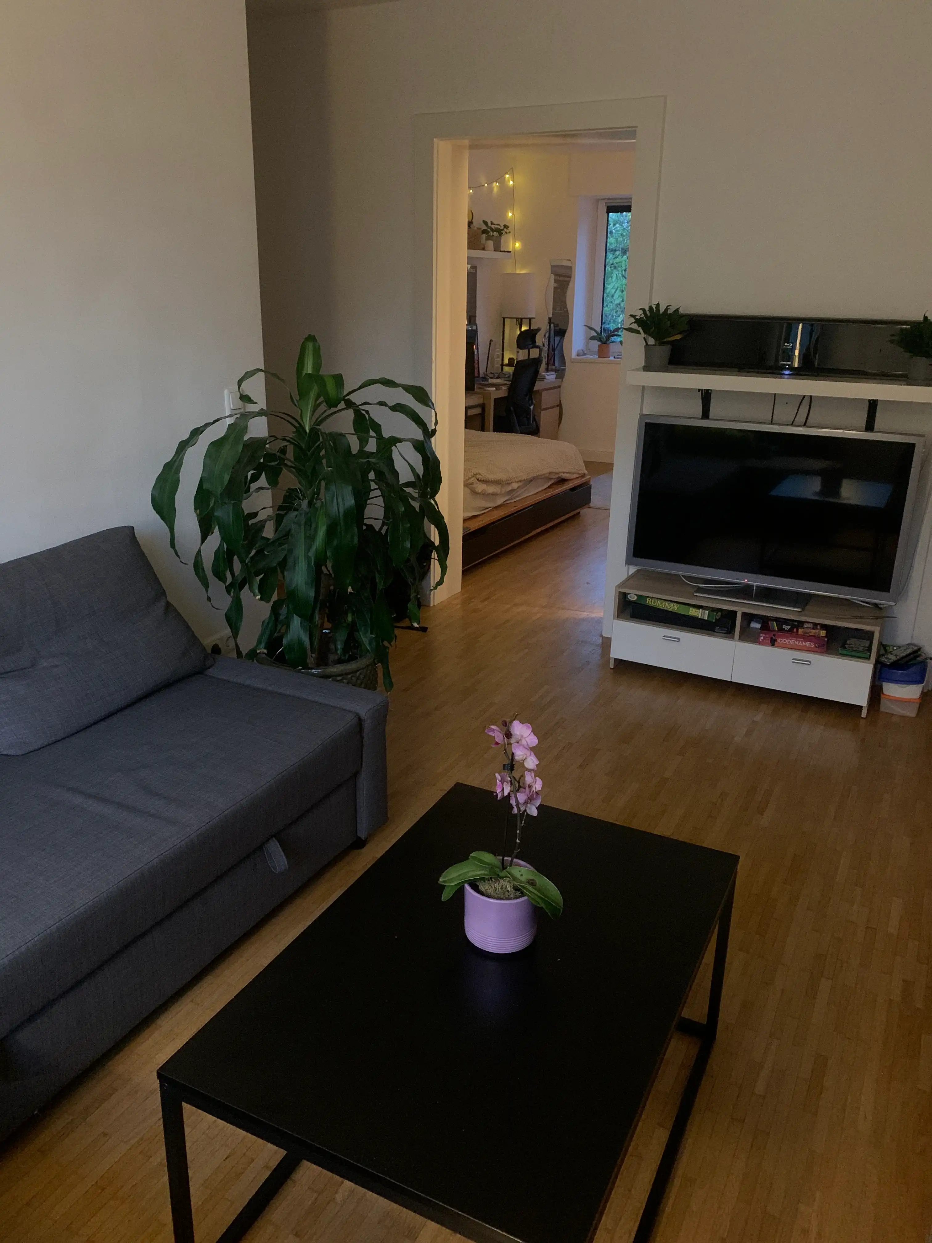 image-19