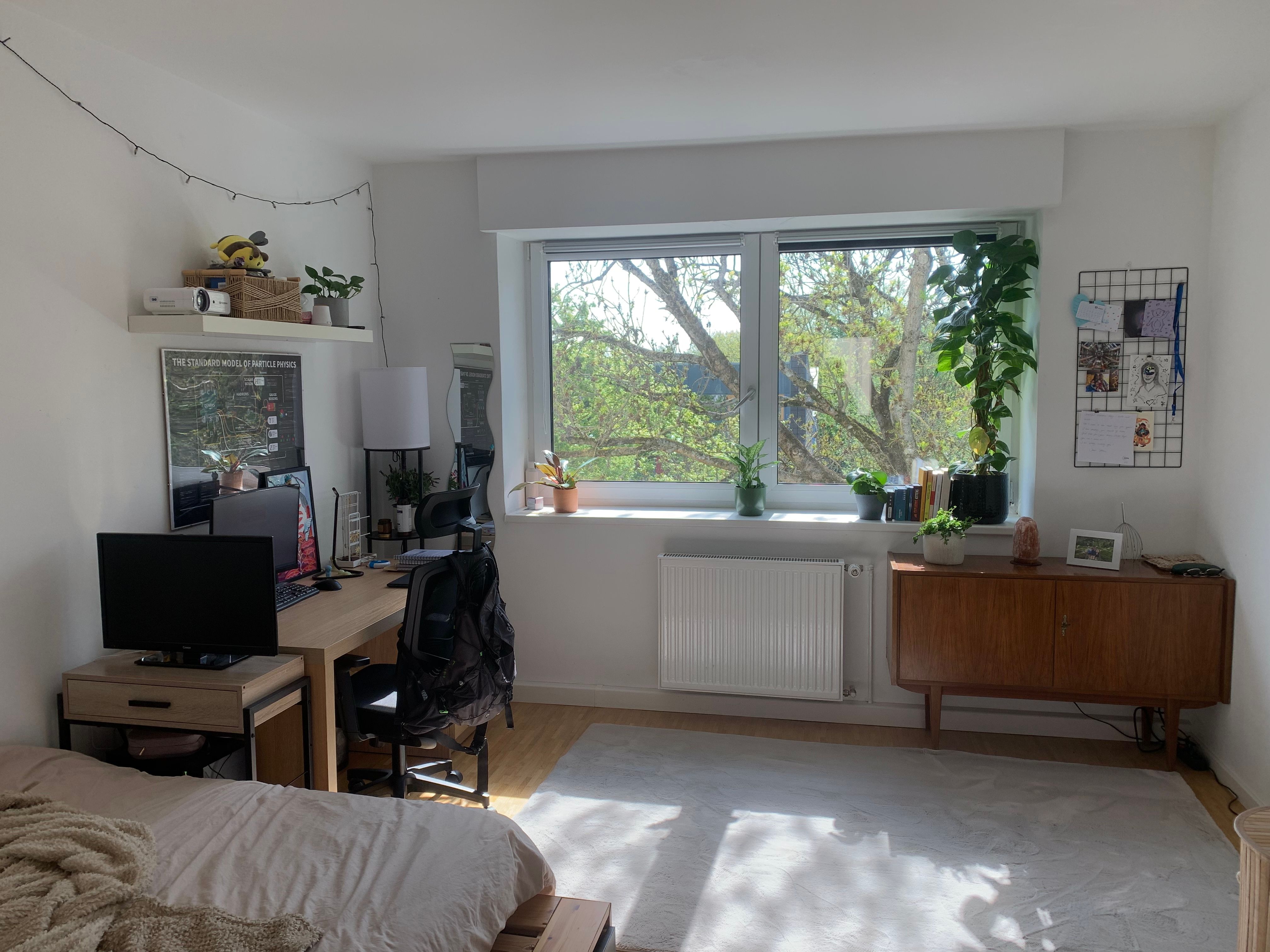 image-16