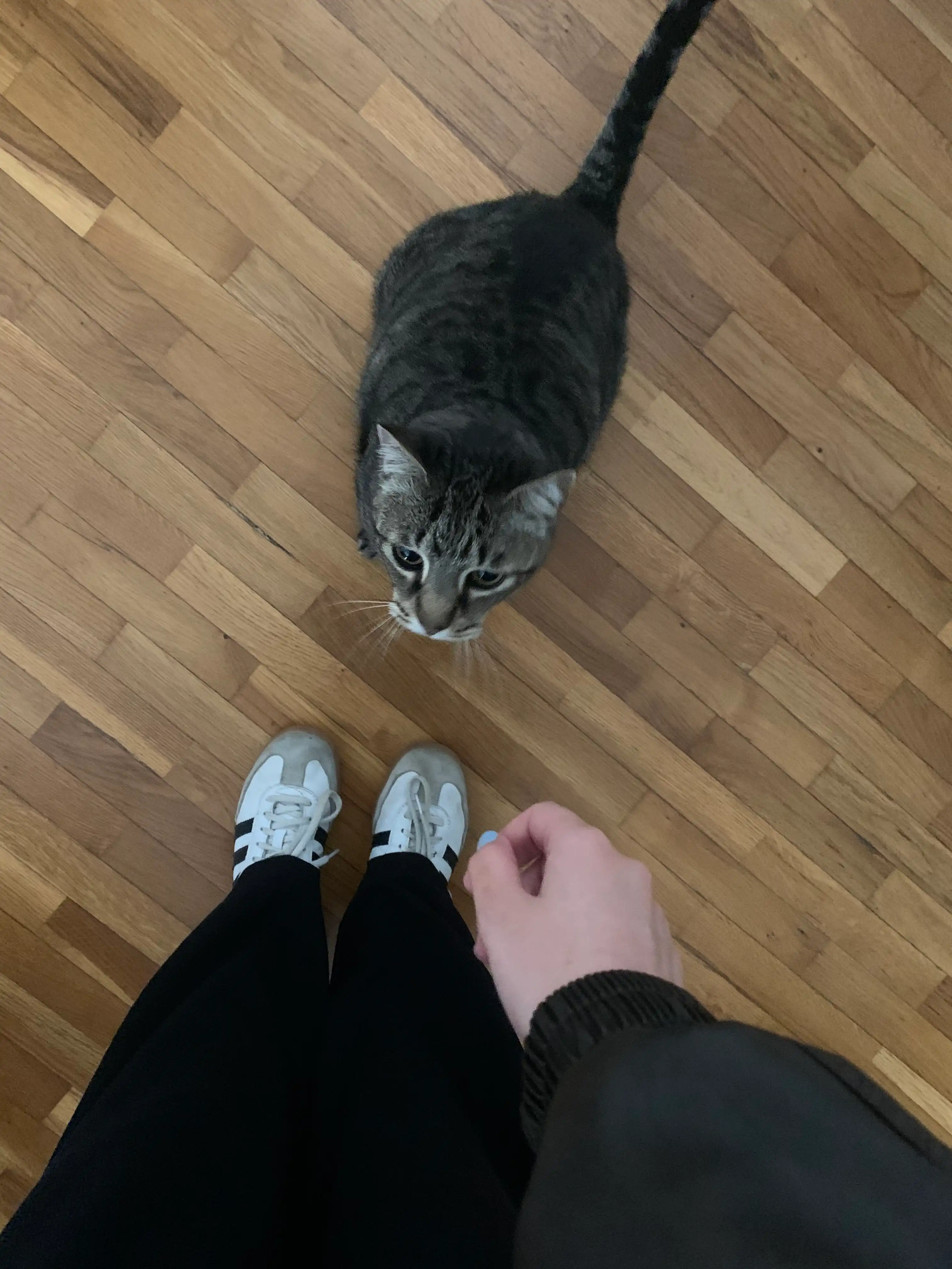 image-14