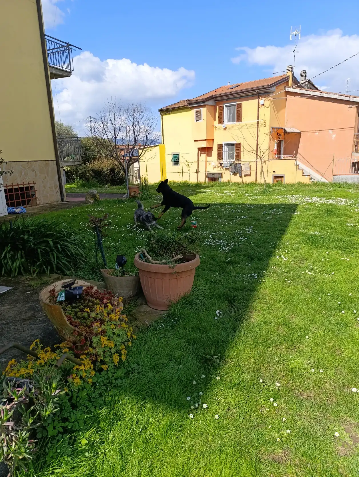 image-19