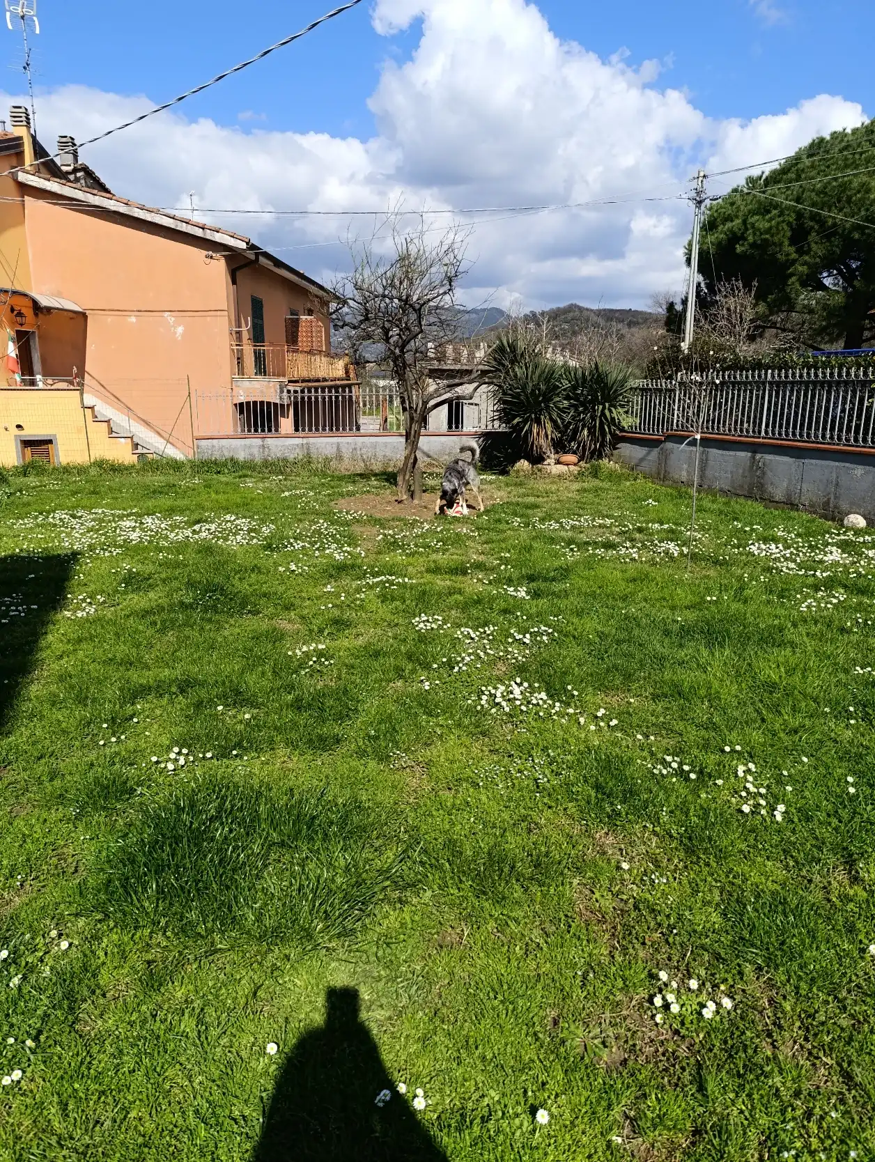 image-17