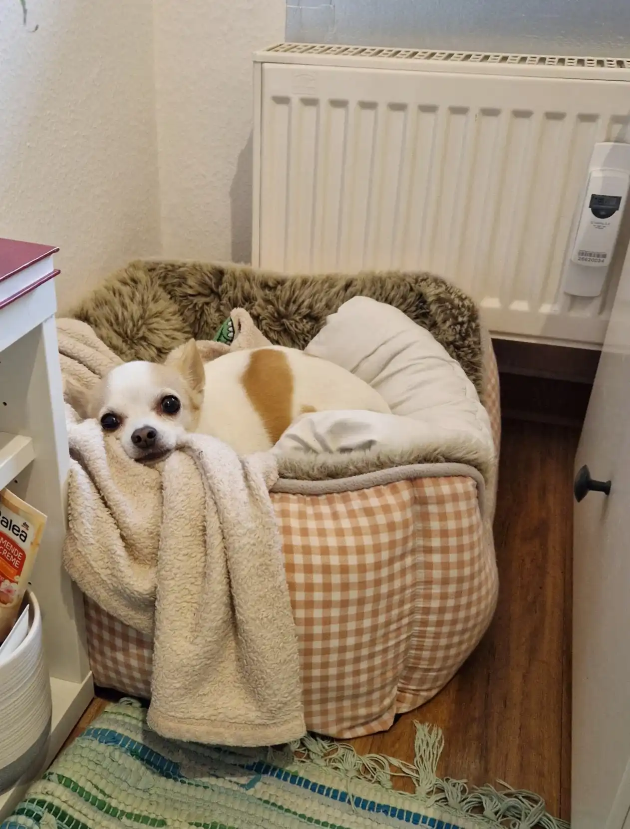 image-7