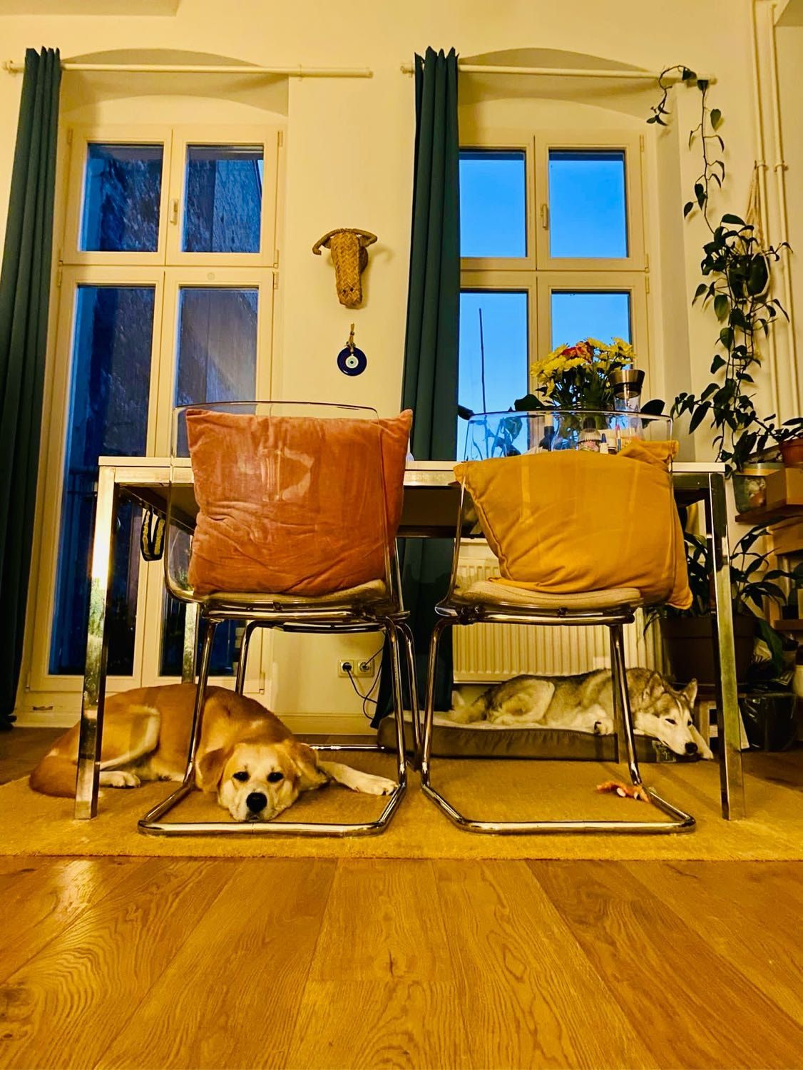 image-11