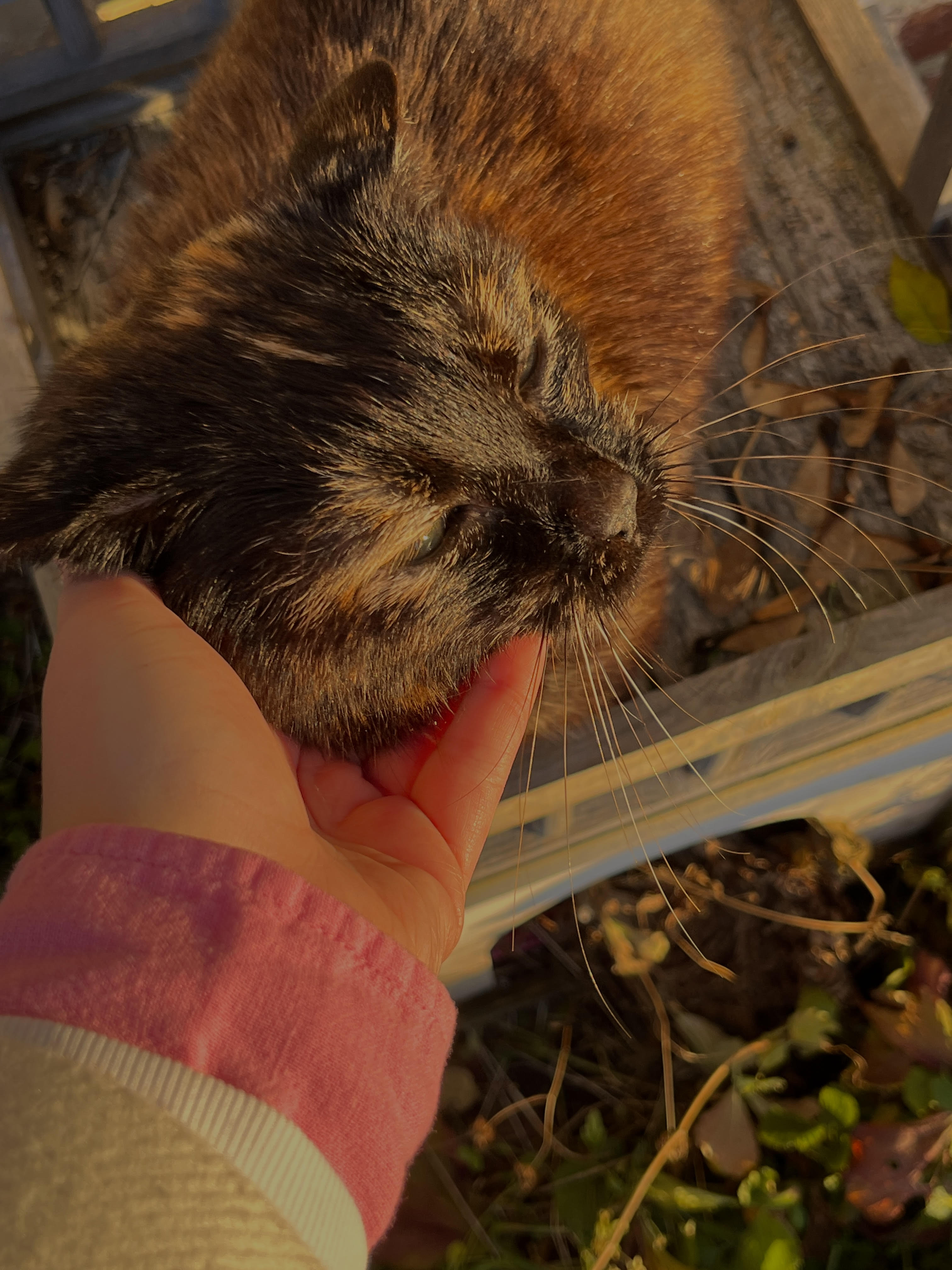 image-5