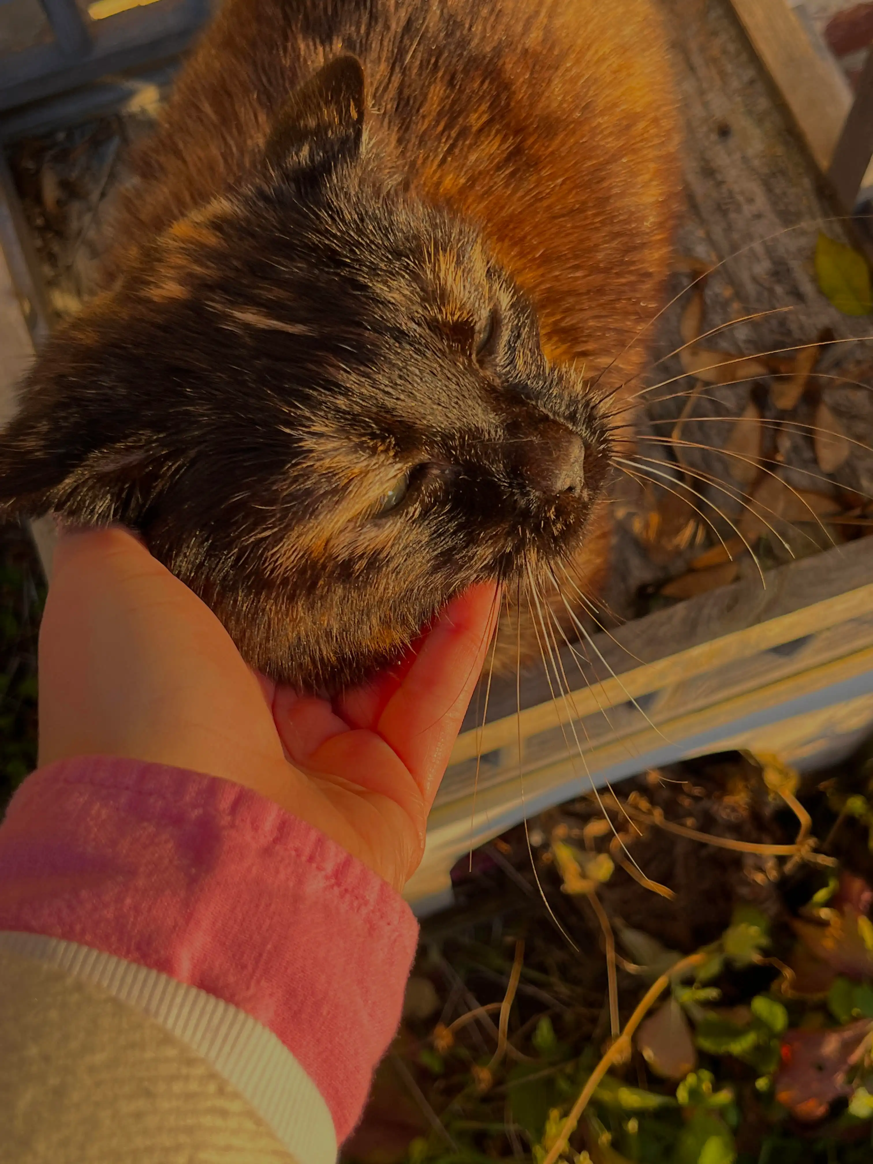image-5