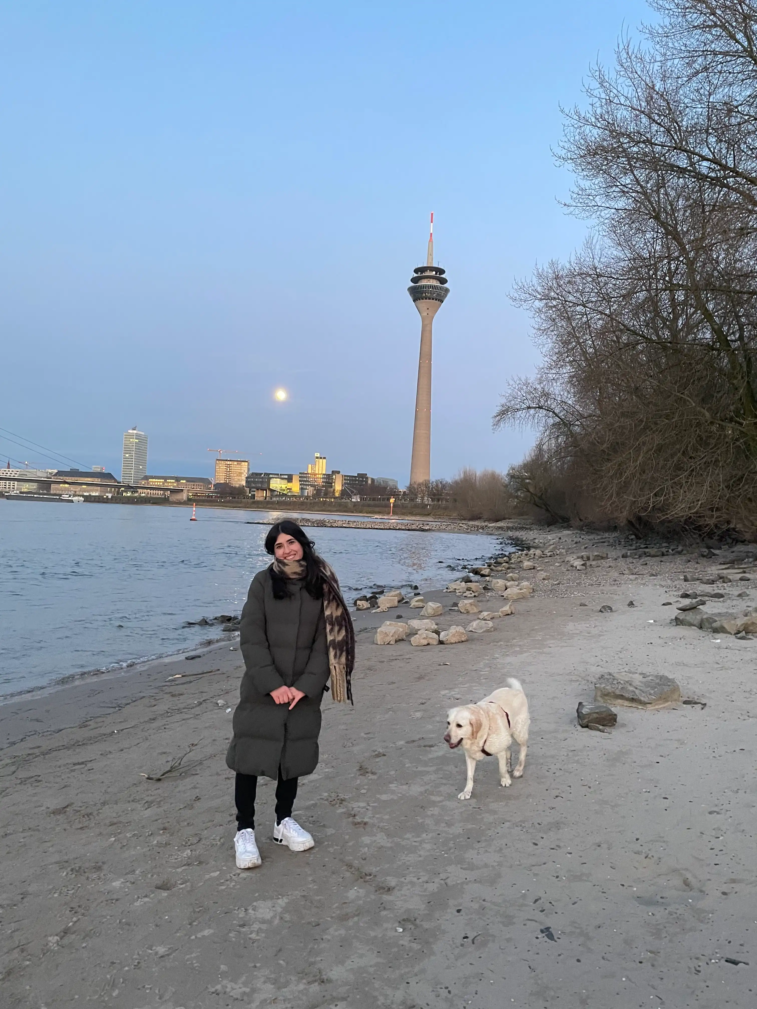 image-11
