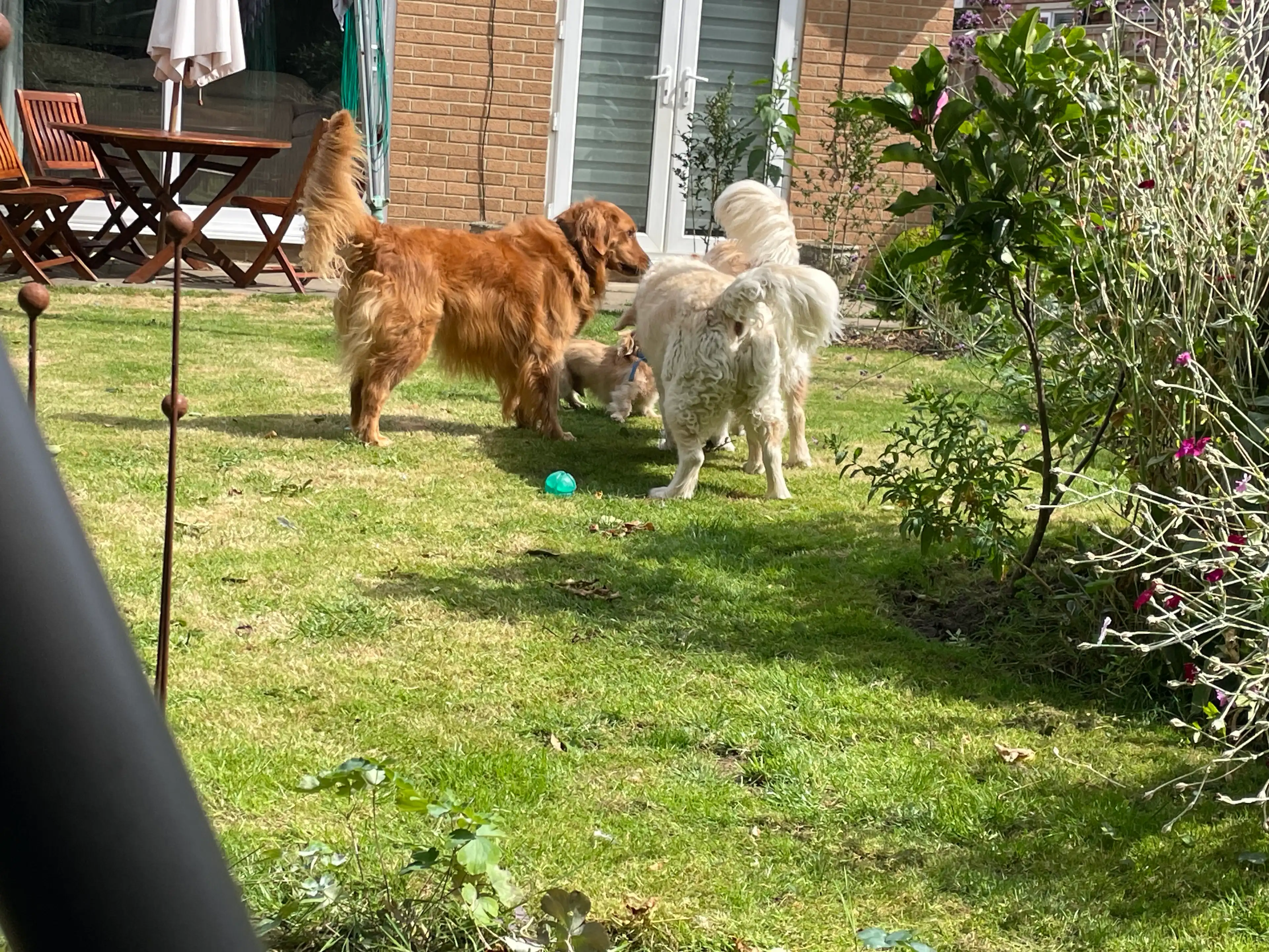 image-28