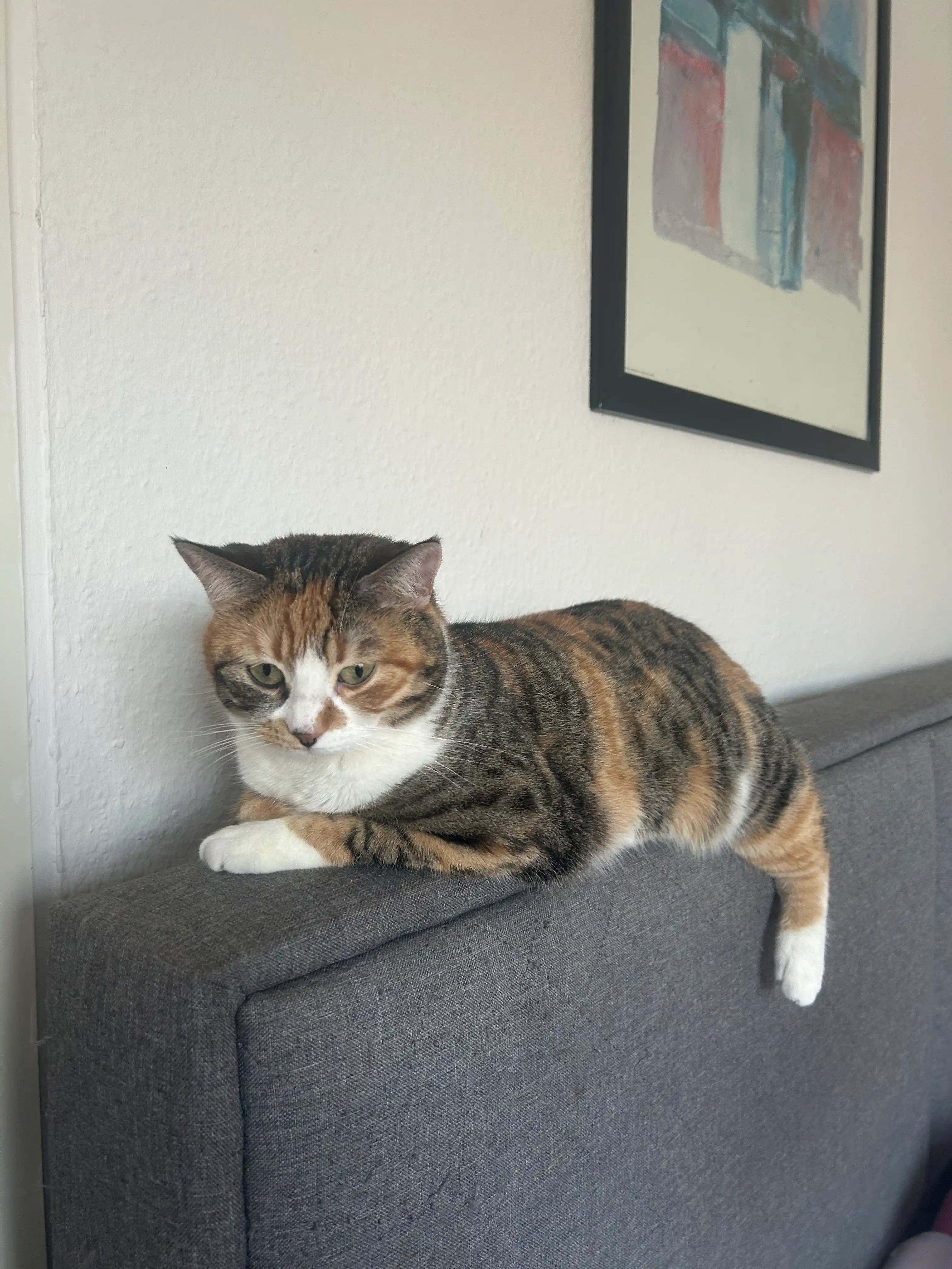 image-6
