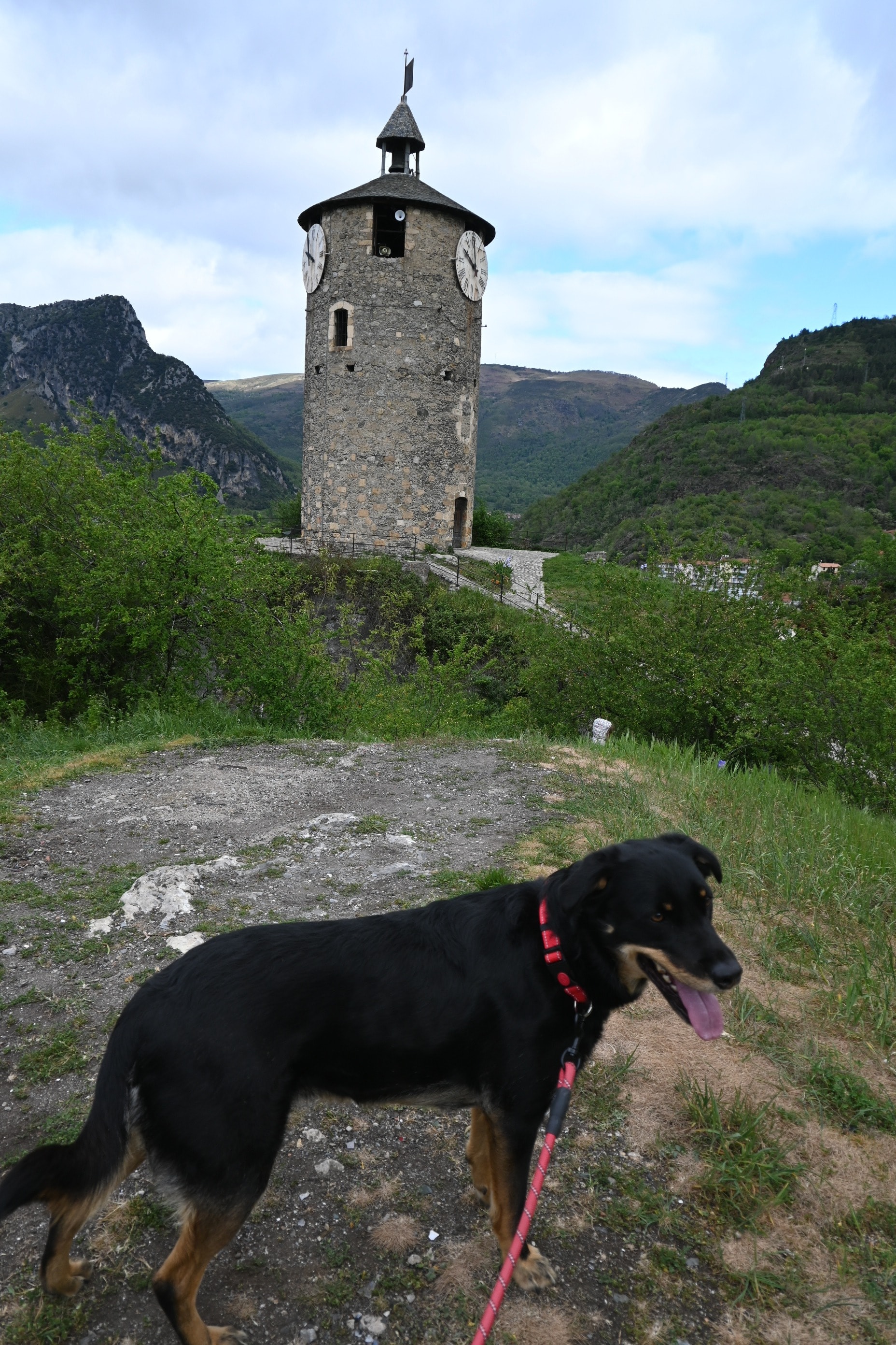 image-13