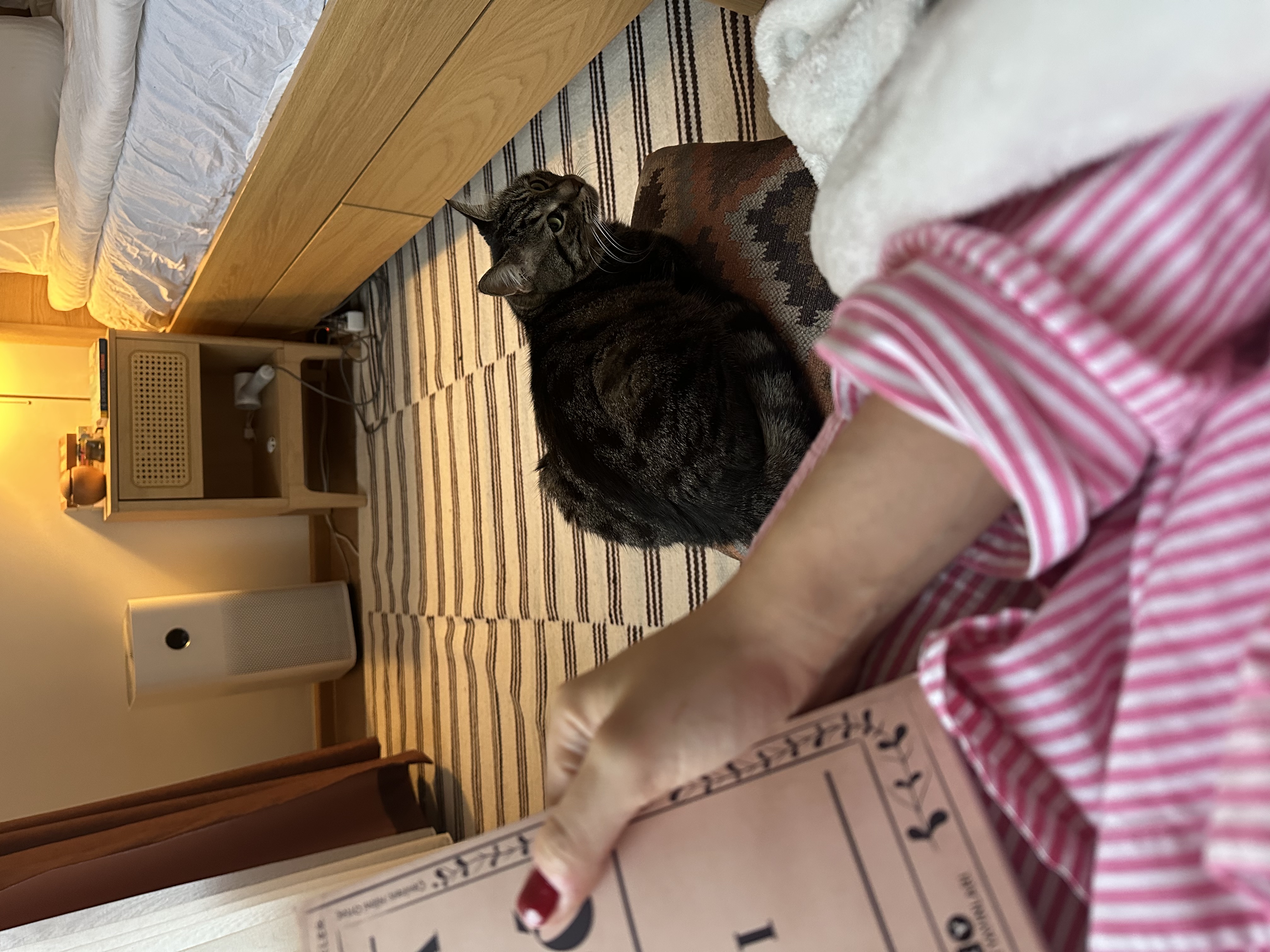 image-6