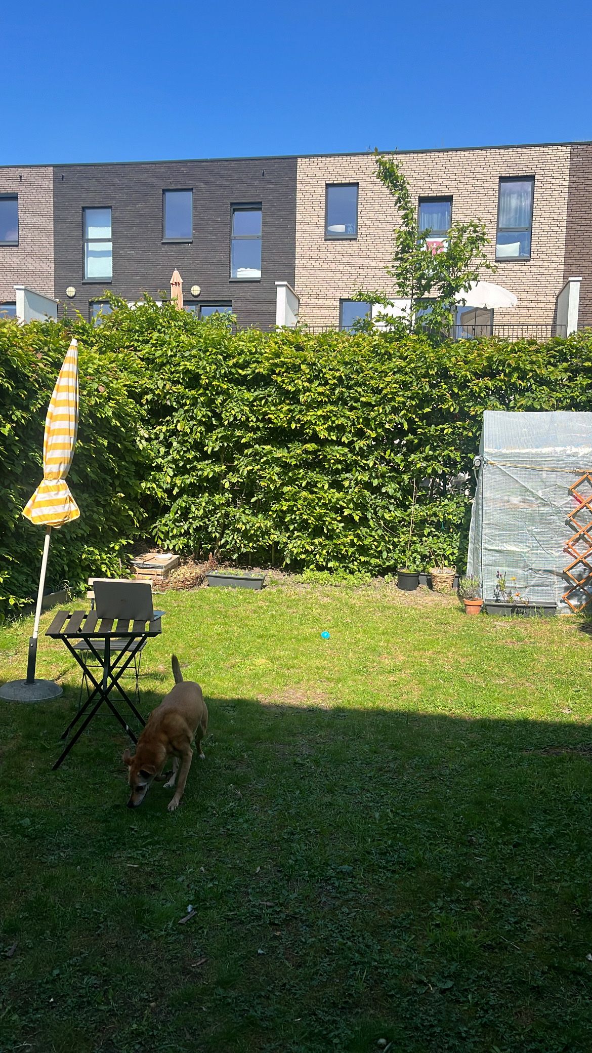 image-17