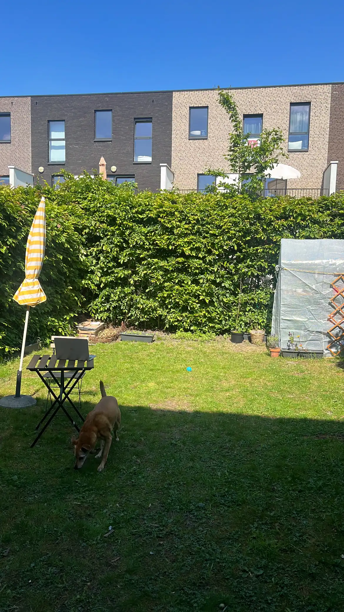 image-17