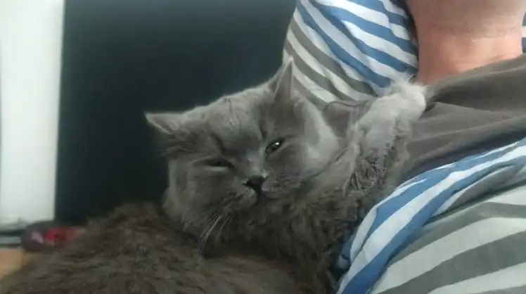image-7