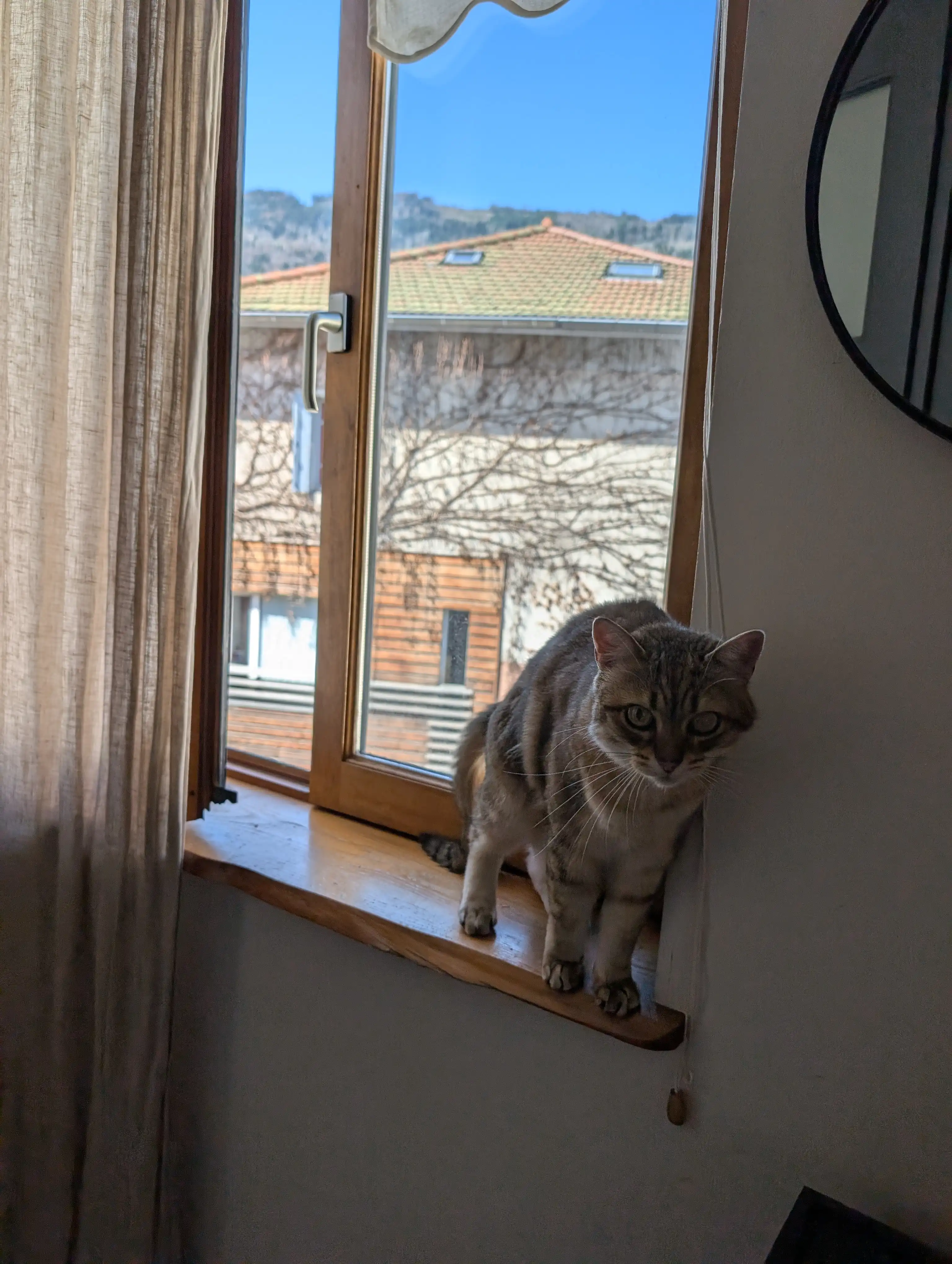 image-17