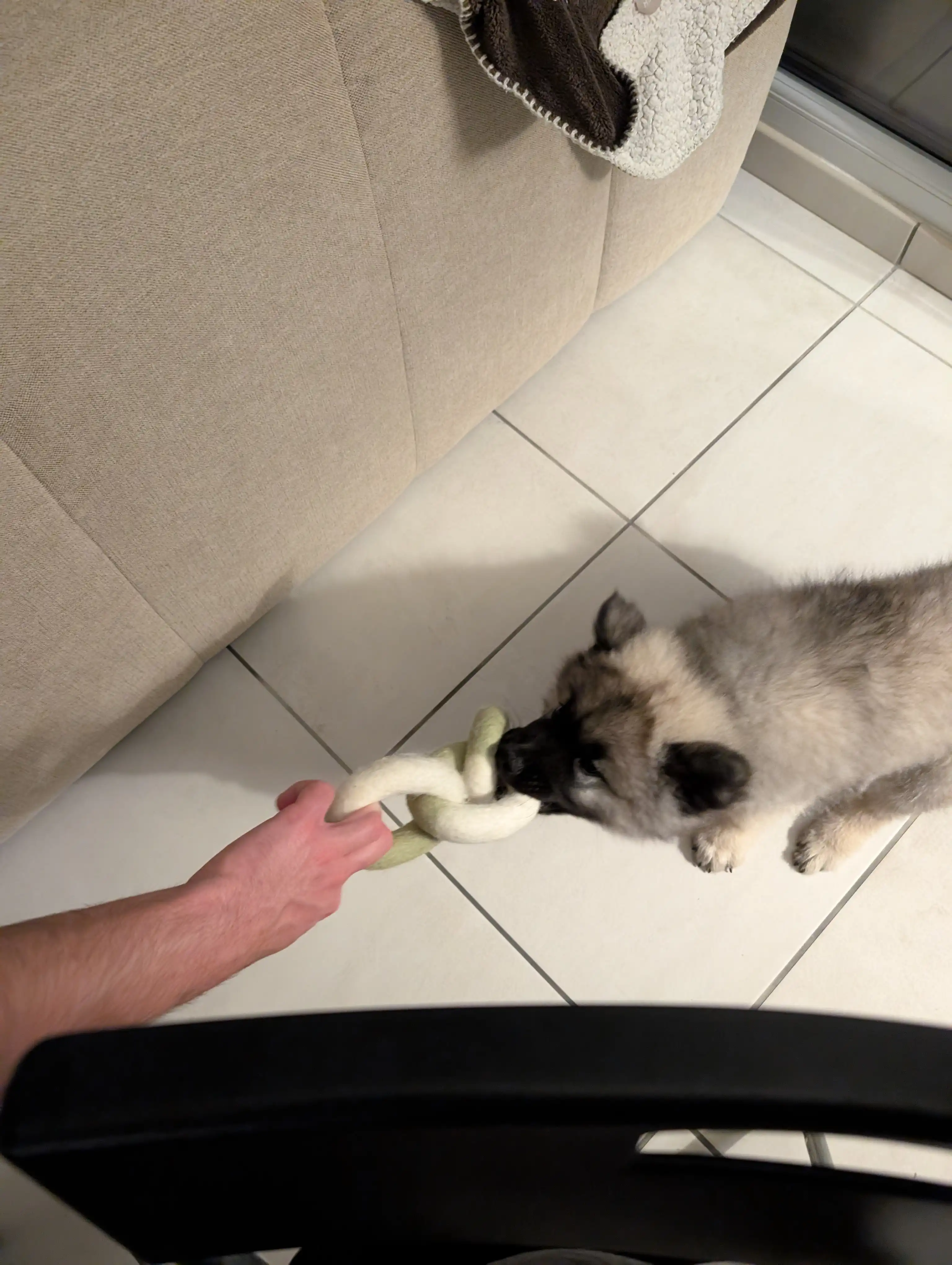 image-15
