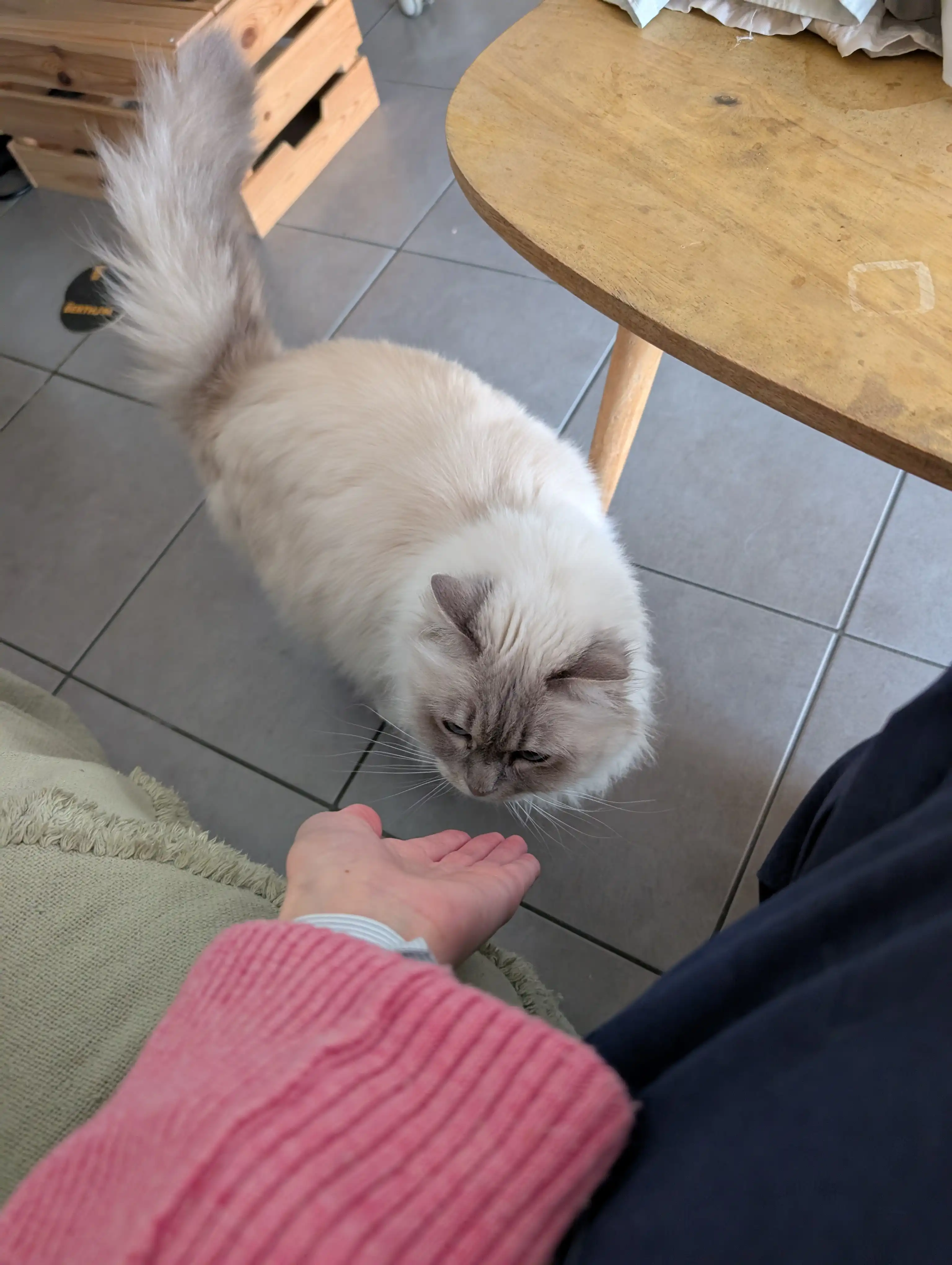 image-11