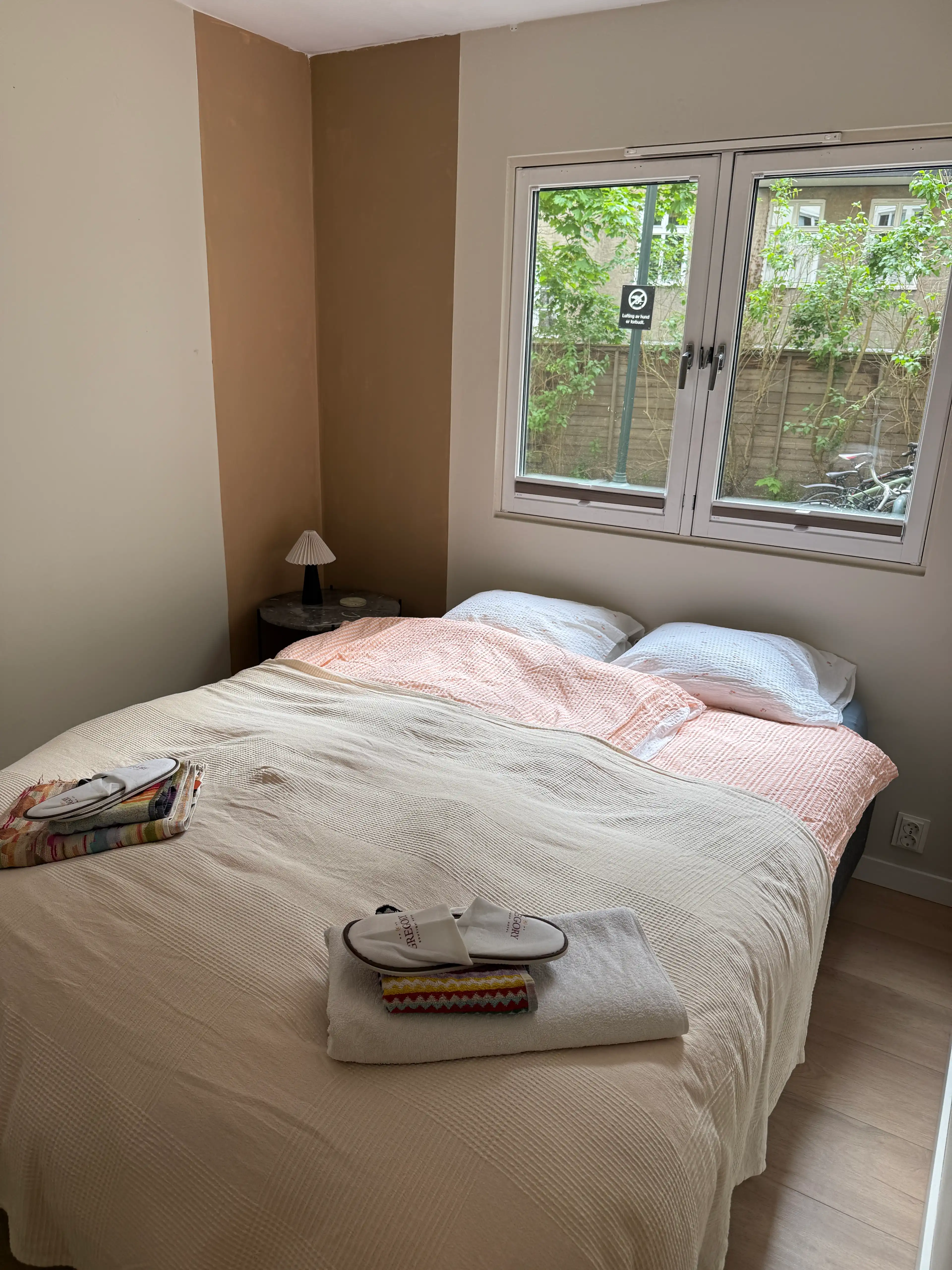 image-20