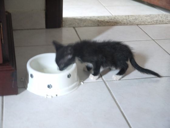 image-2