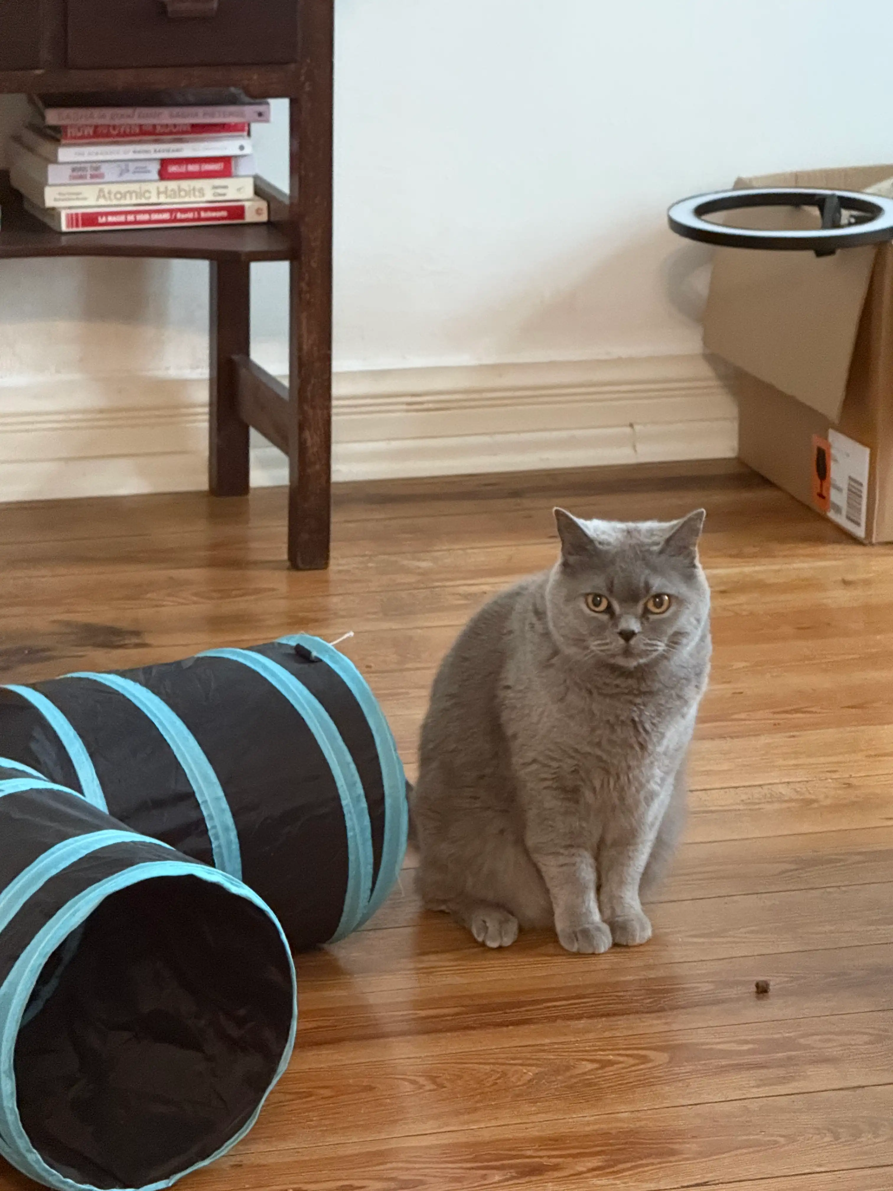 image-7