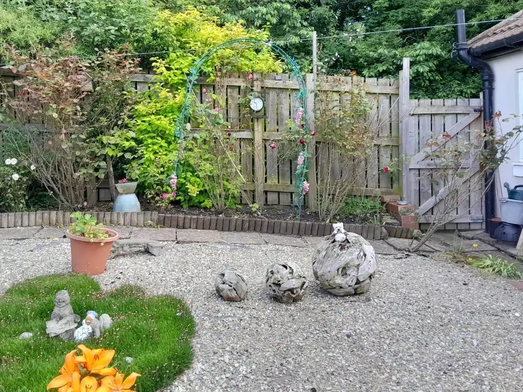 image-14