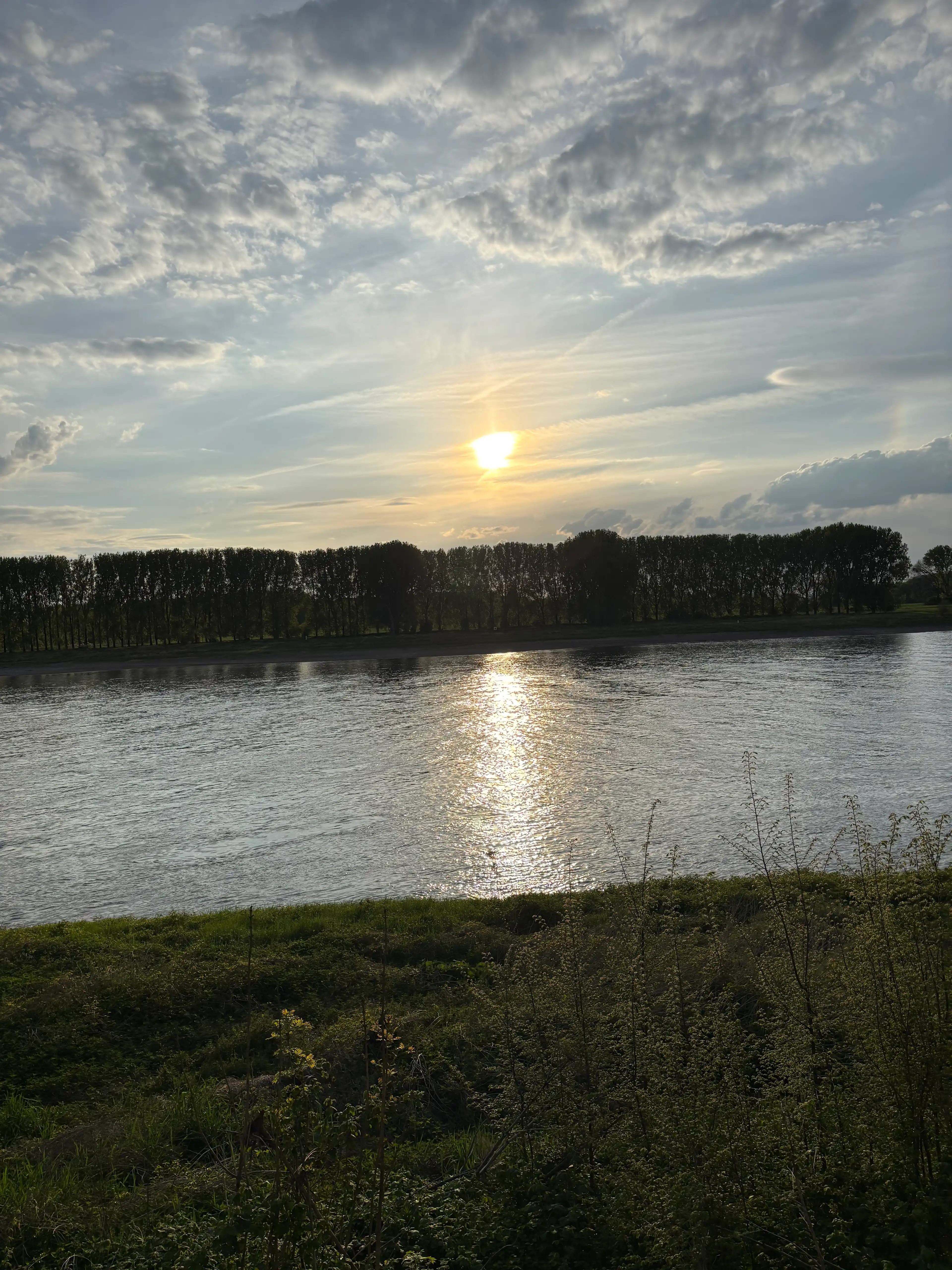 image-25
