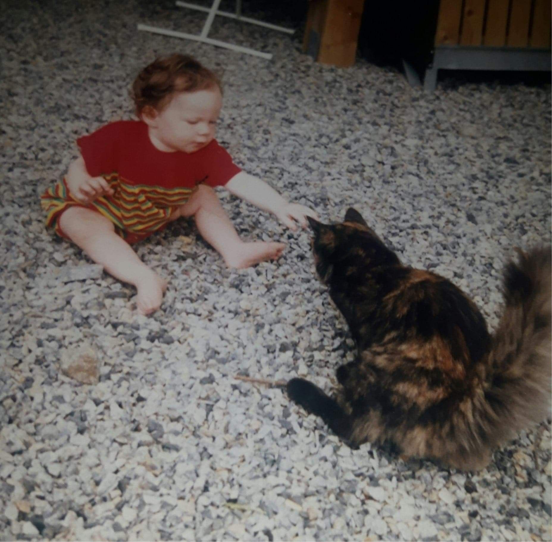 image-5