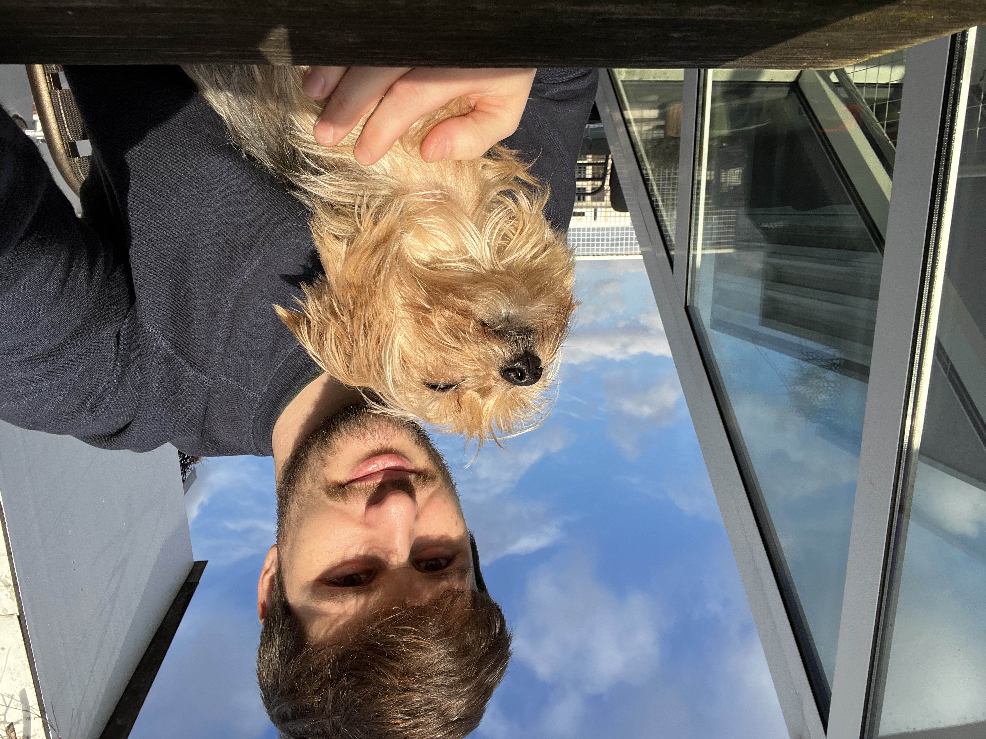 image-7