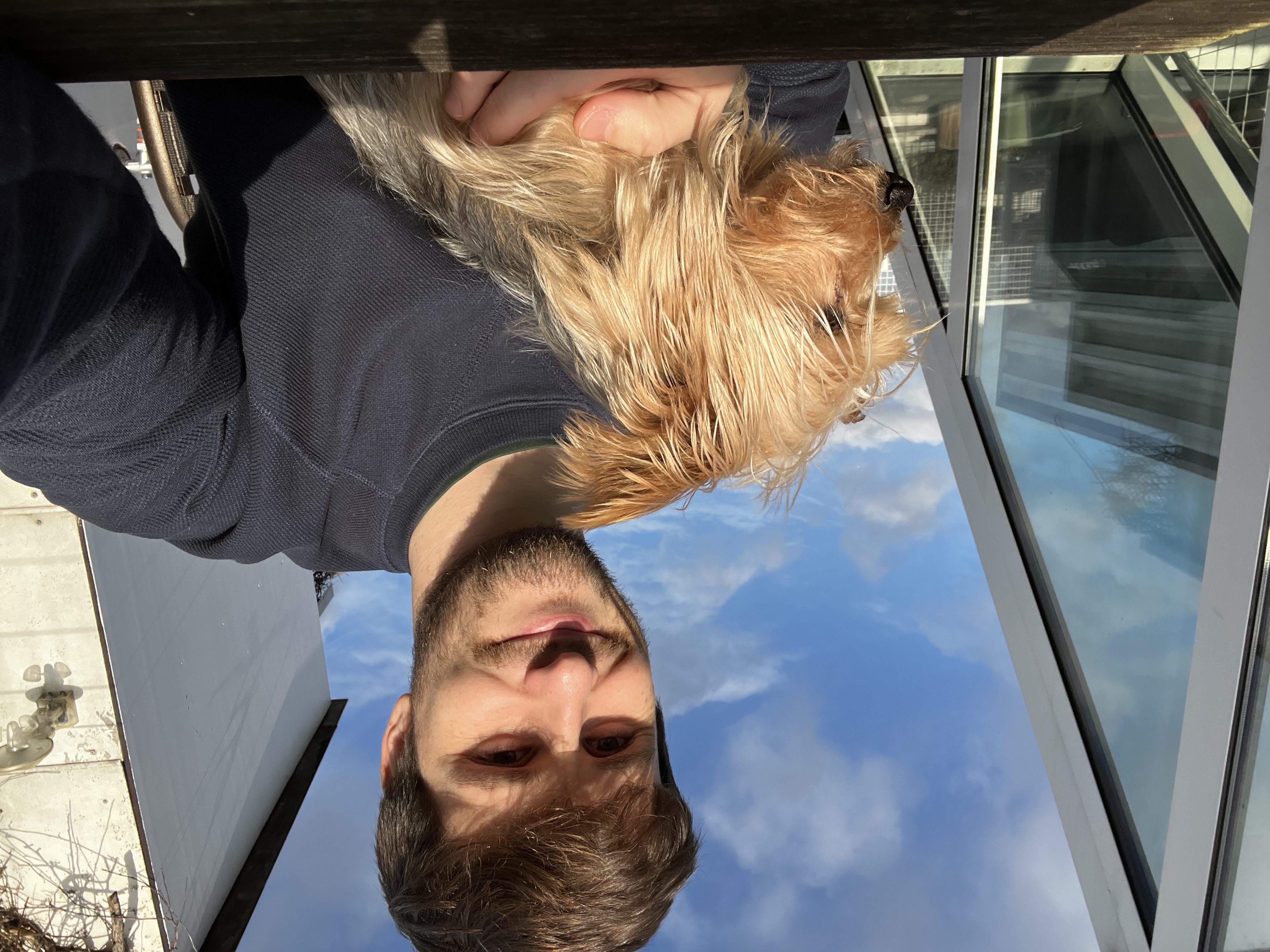 image-1