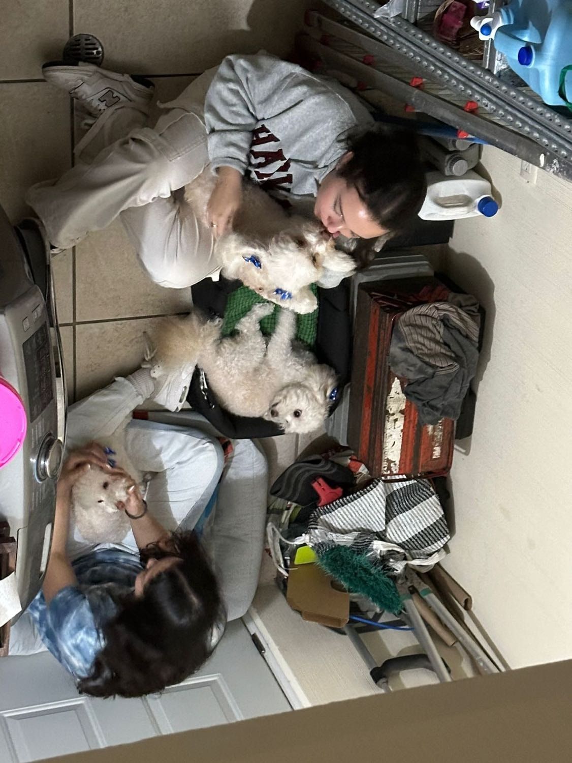 image-2